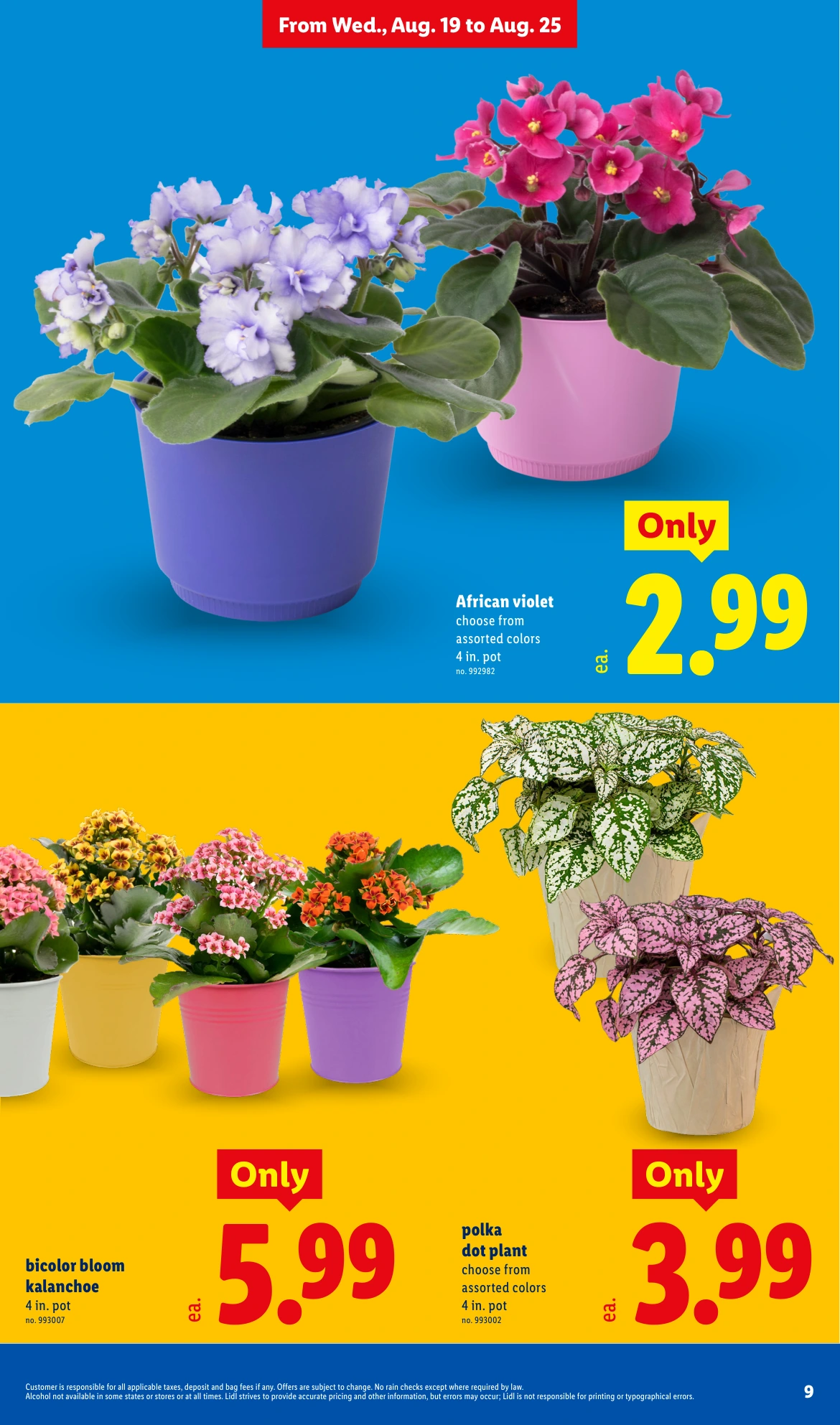 Lidl Weekly Ad - 8/19/2026 - 8/25/2026 - Page 9