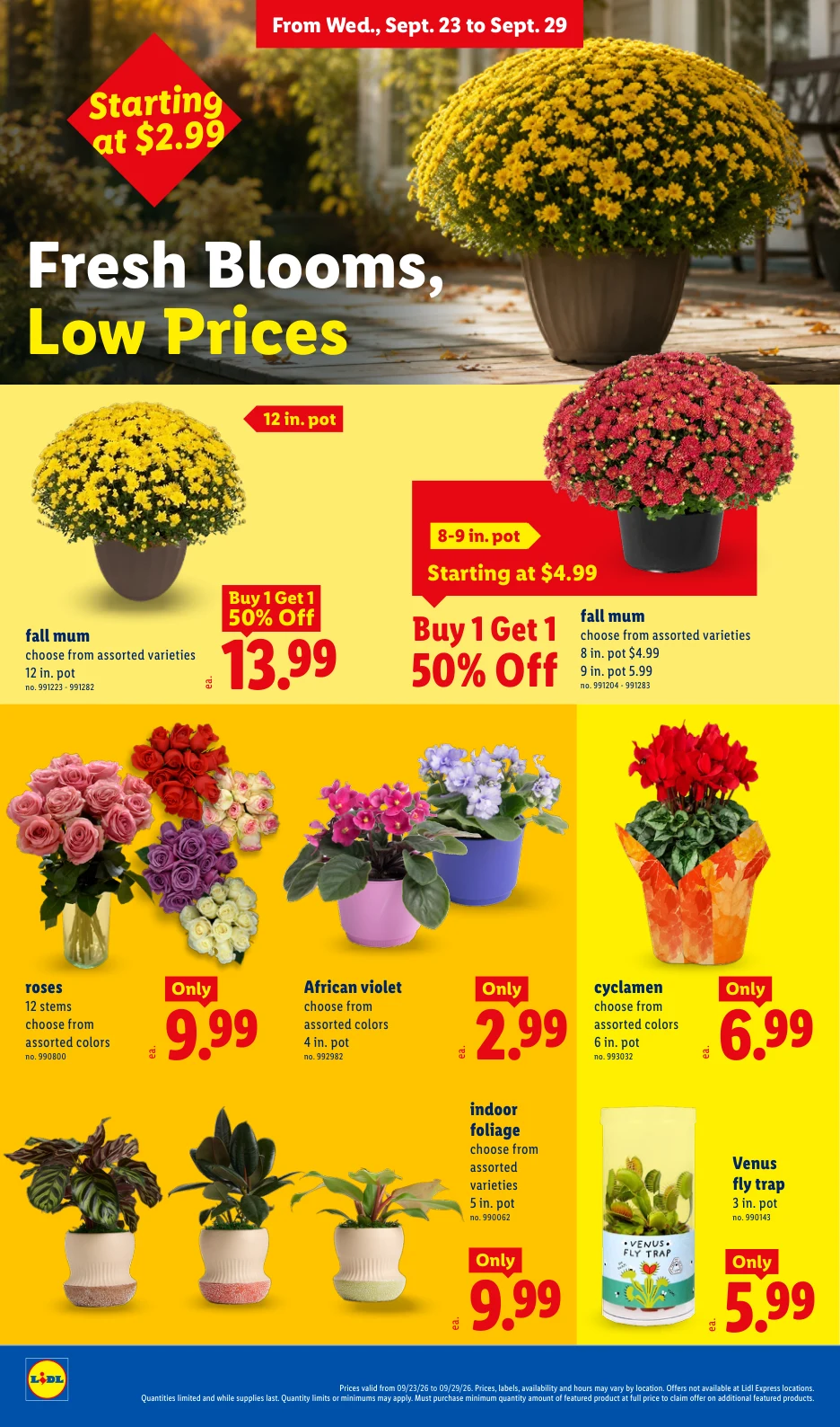 Lidl Weekly Ad - 9/23/2026 - 9/29/2026 - Page 22