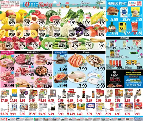 Lotte New Jersey