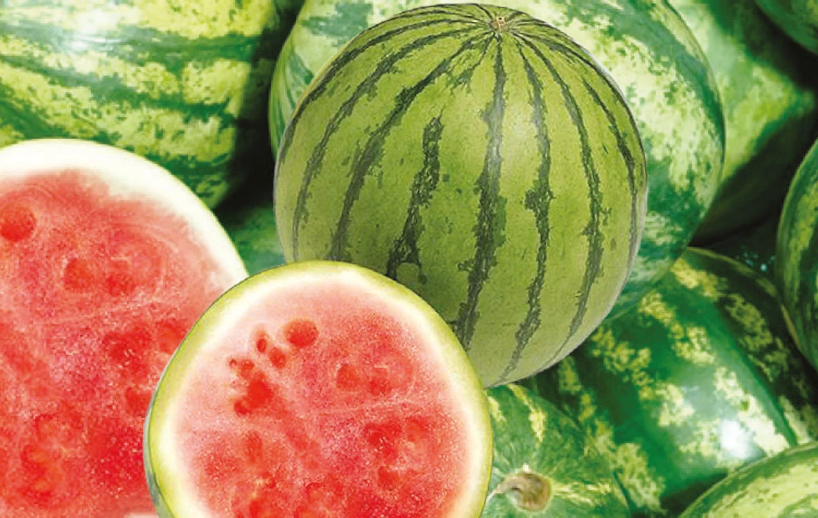 Major Market Grocery Weekly Ad - Page 6
