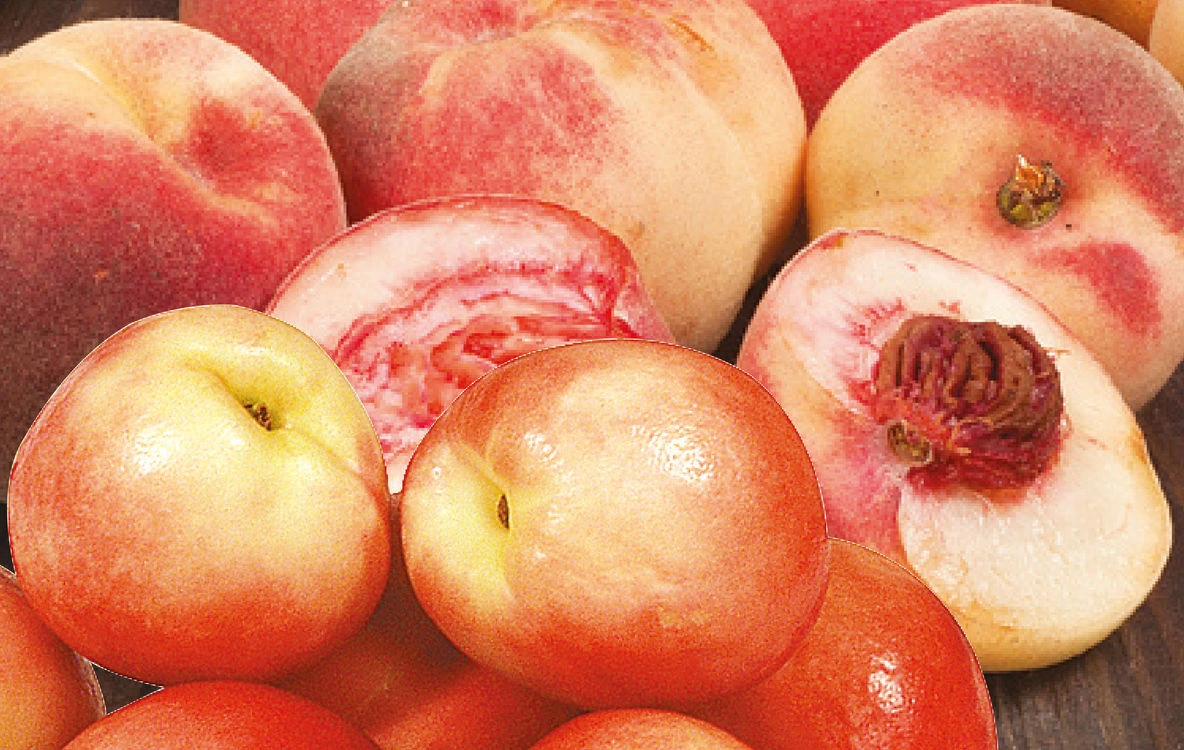 Major Market Grocery Weekly Ad - Page 32