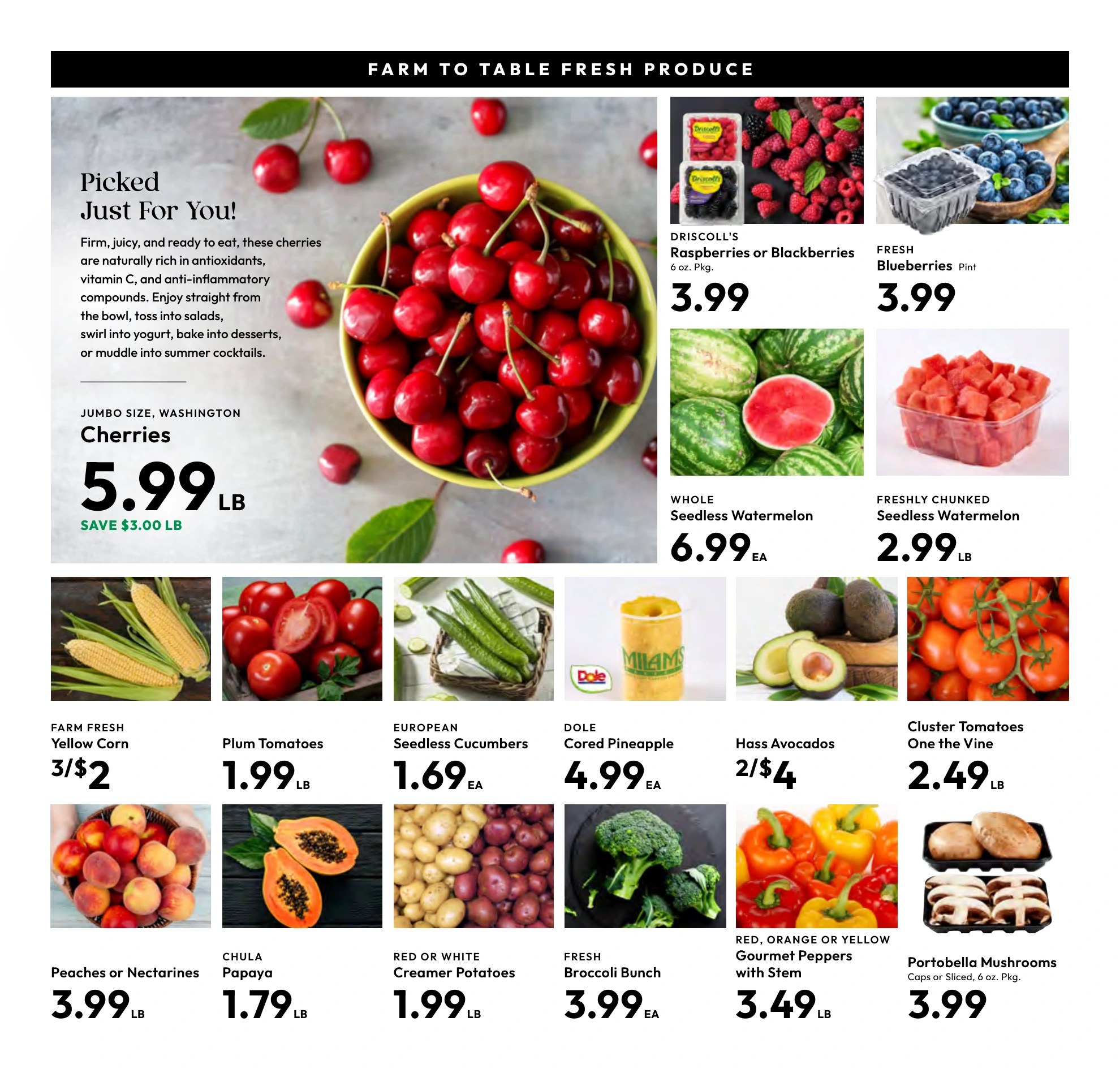 Flyer page 4