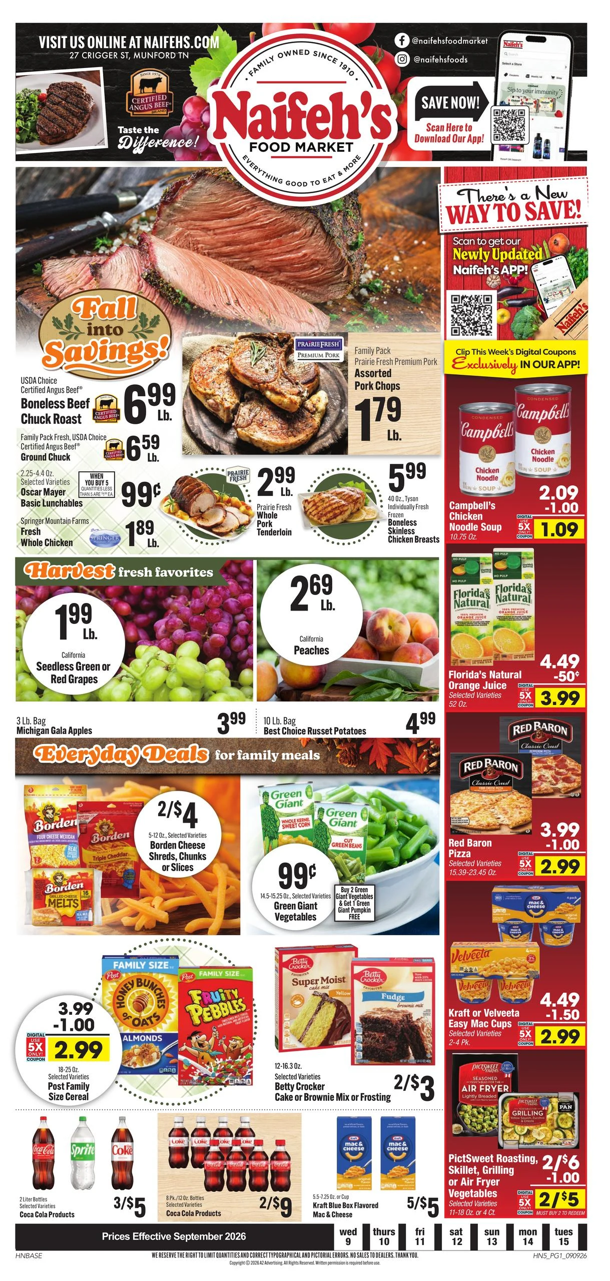 Naifeh's Cash Saver Indexed Weekly - Page 1