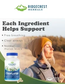 Flyer page 14