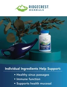 Flyer page 15