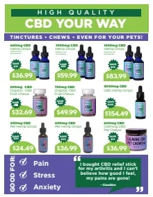 Flyer page 8