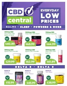 Flyer page 9