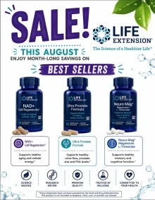 Flyer page 11