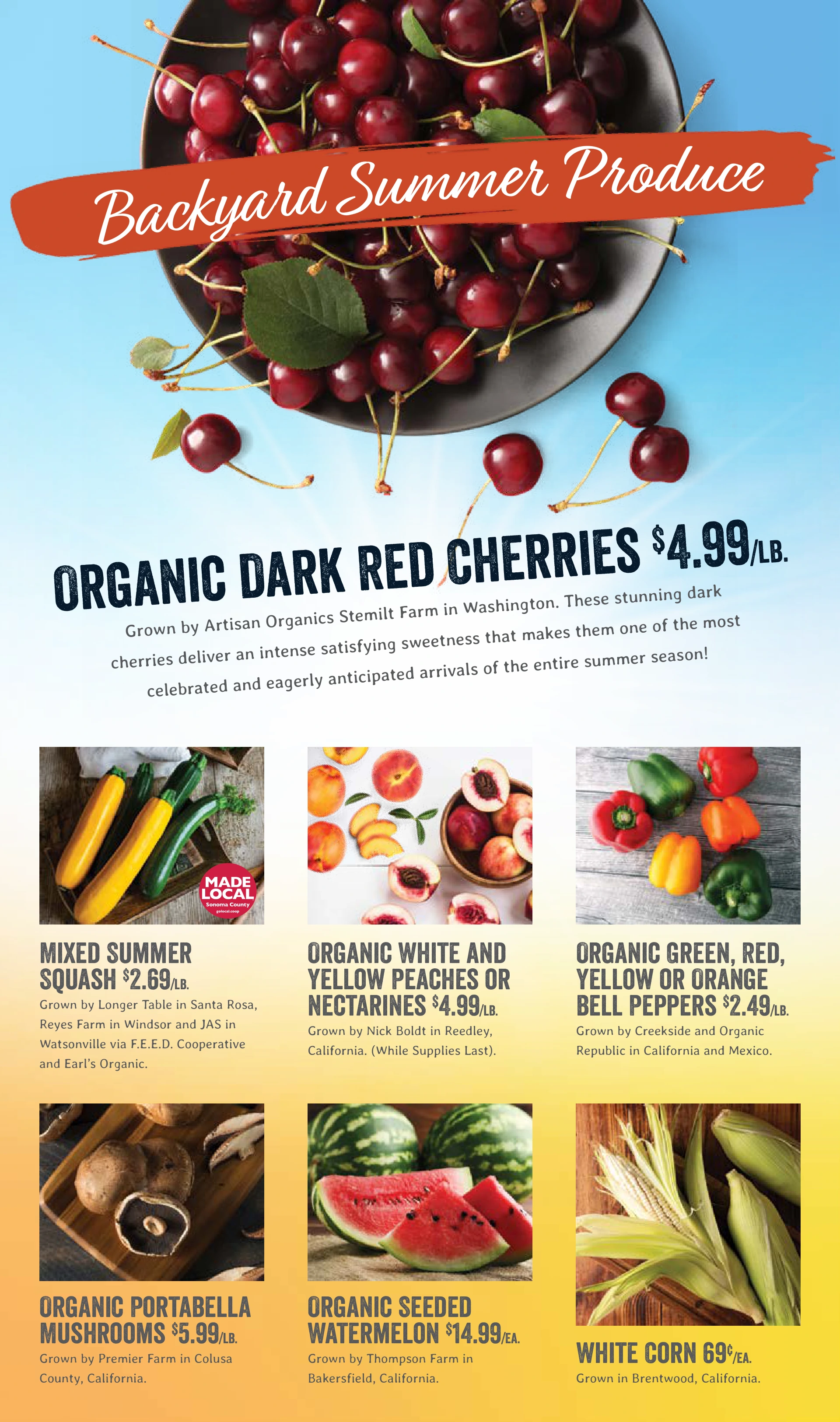 Flyer page 5
