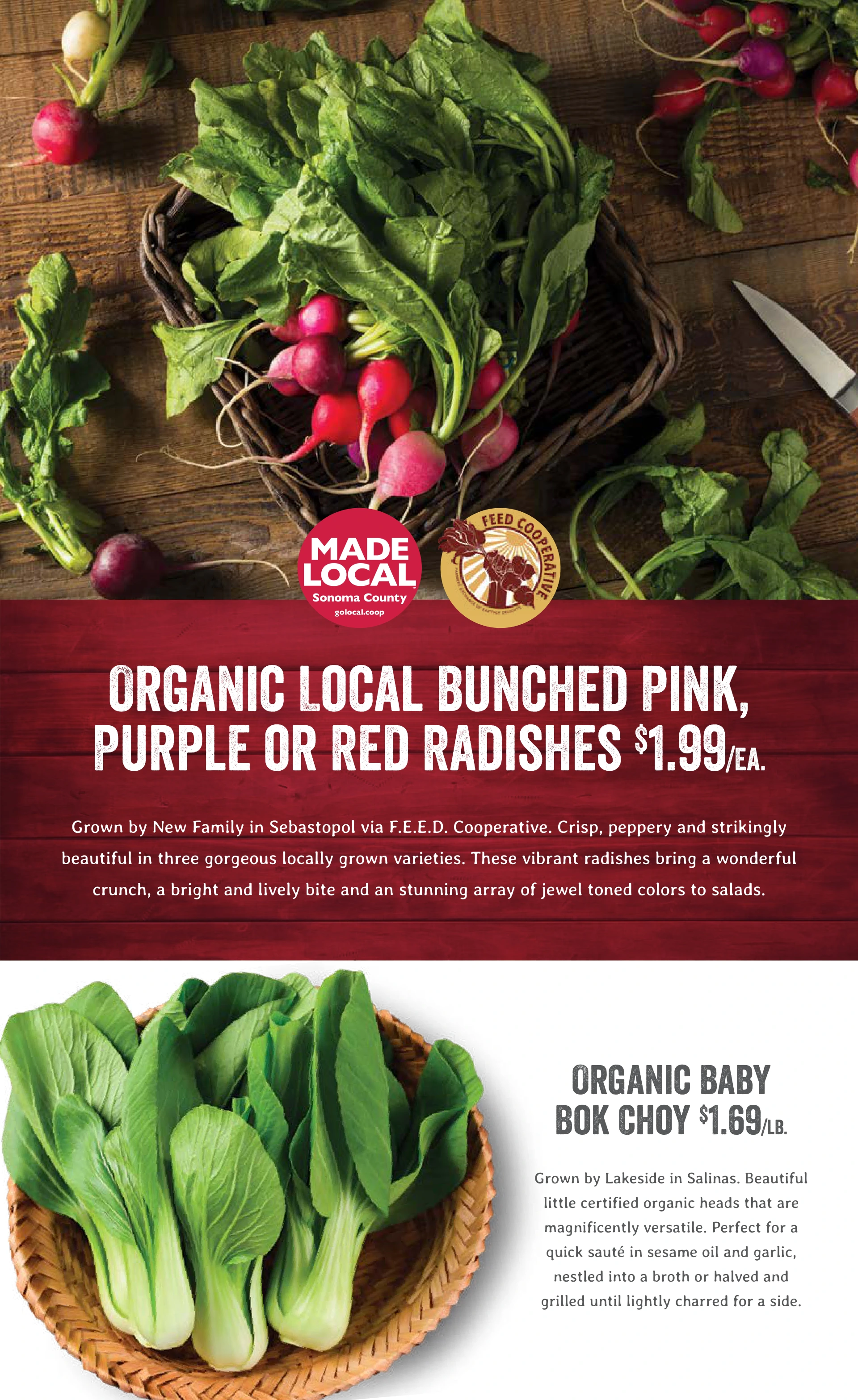 Flyer page 19