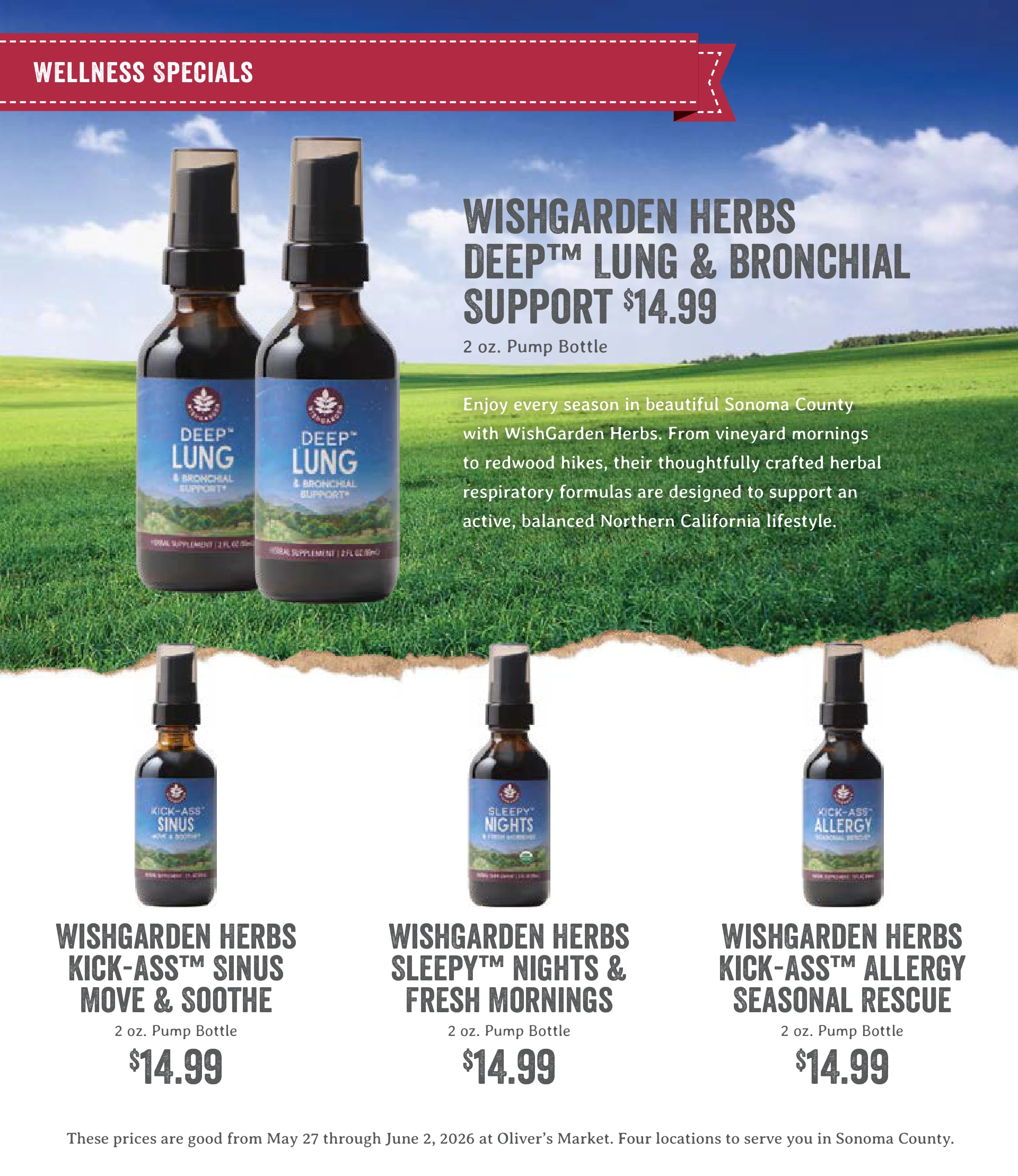 Flyer page 19
