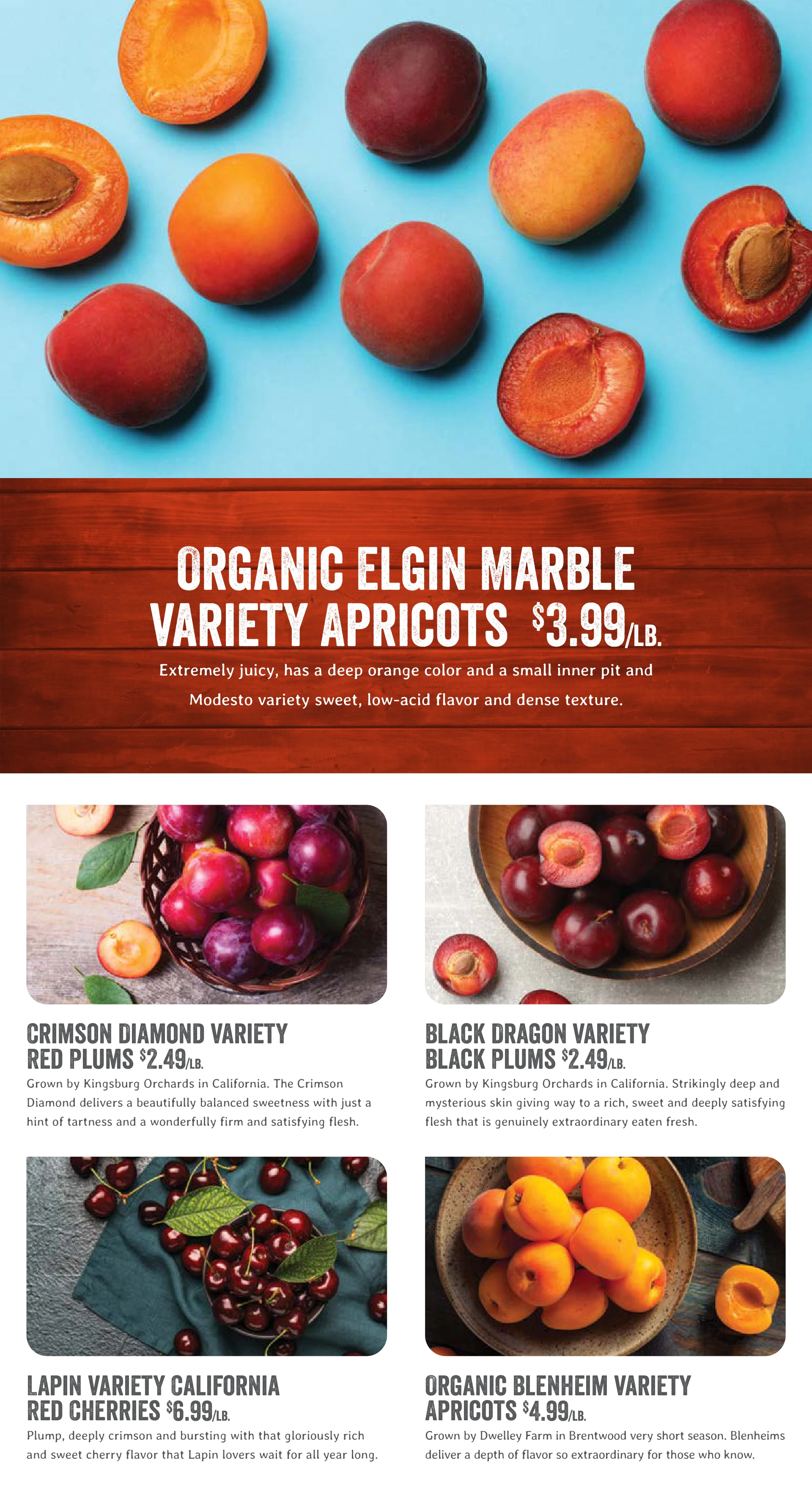 Flyer page 8