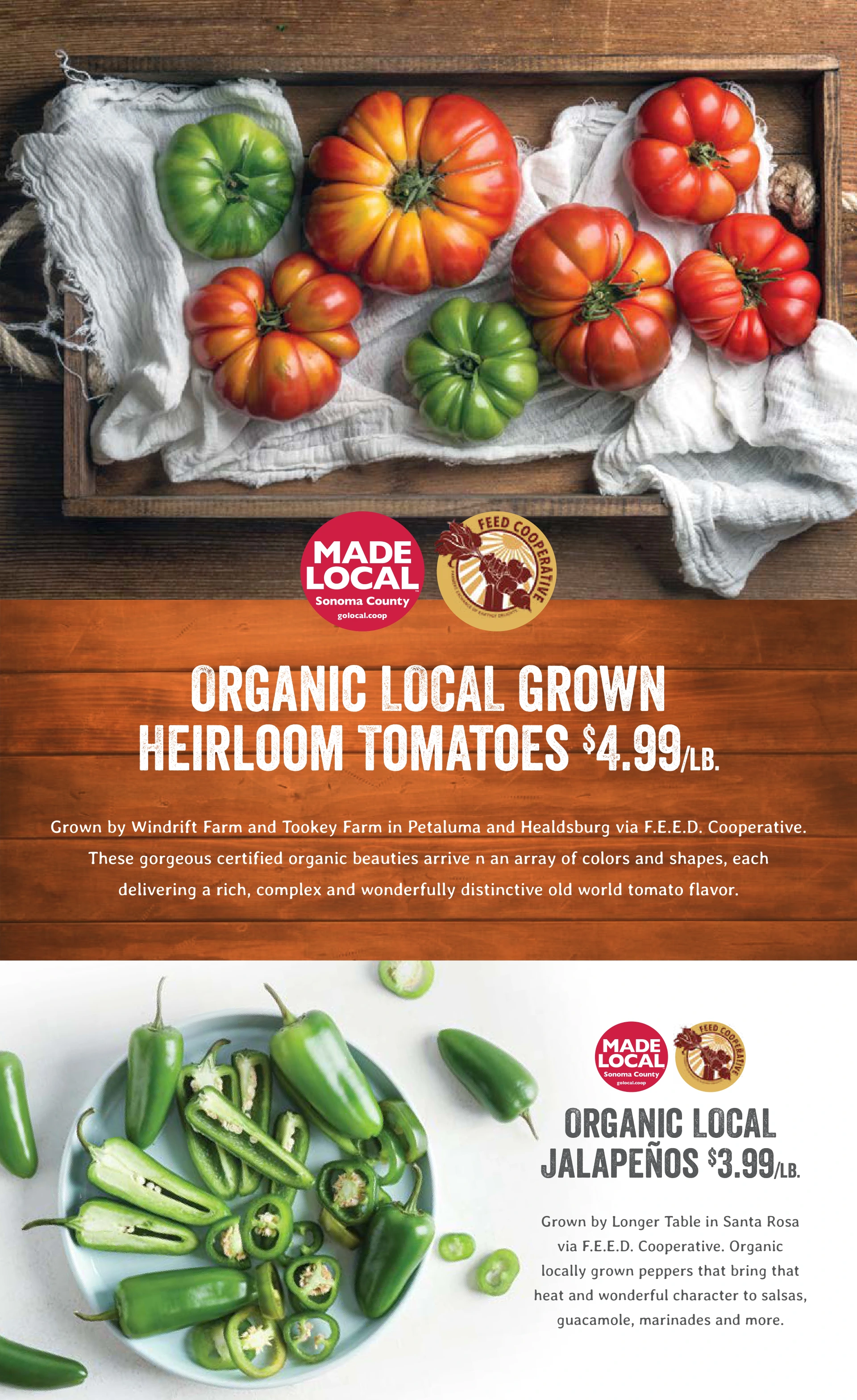 Flyer page 15