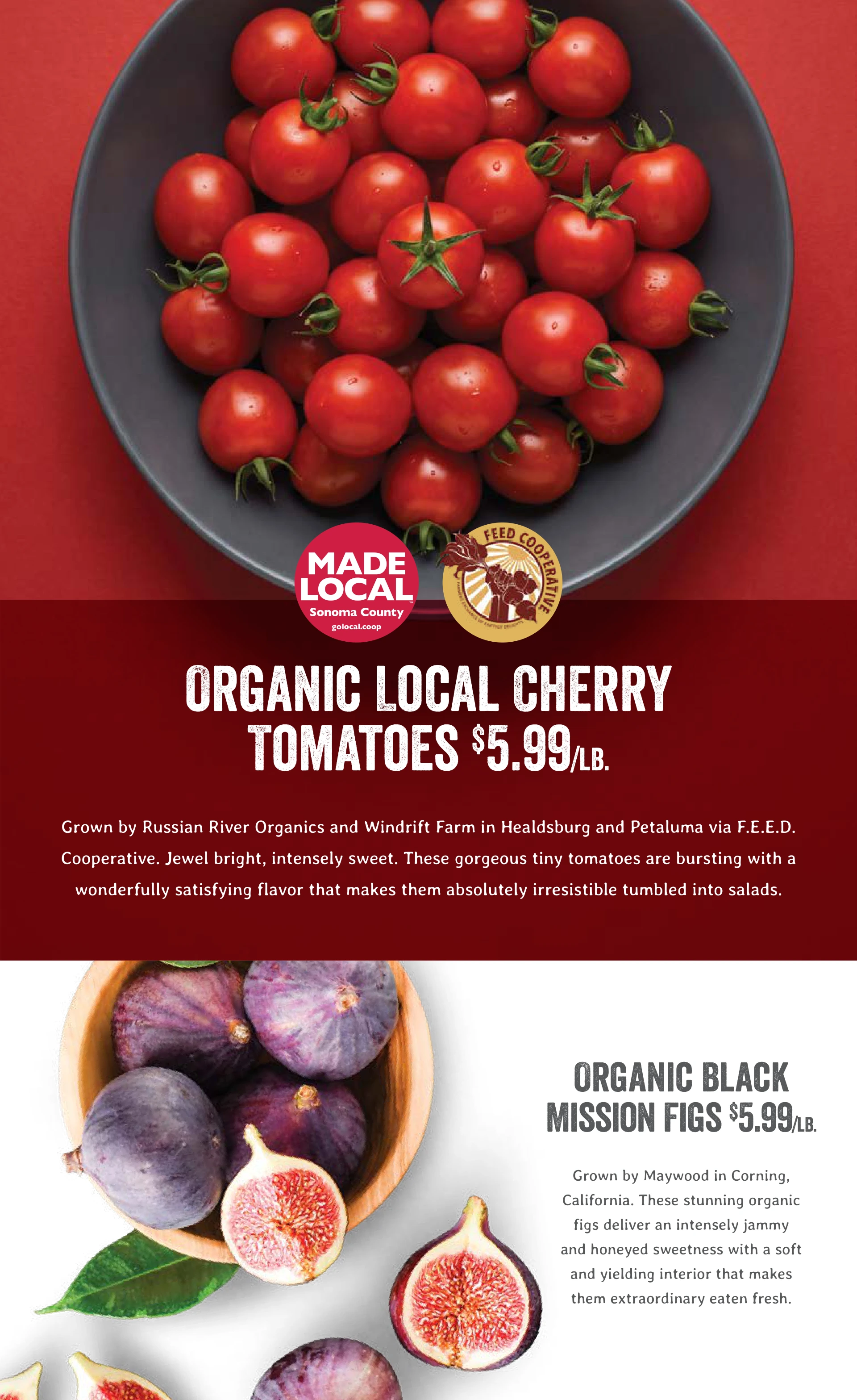 Flyer page 13