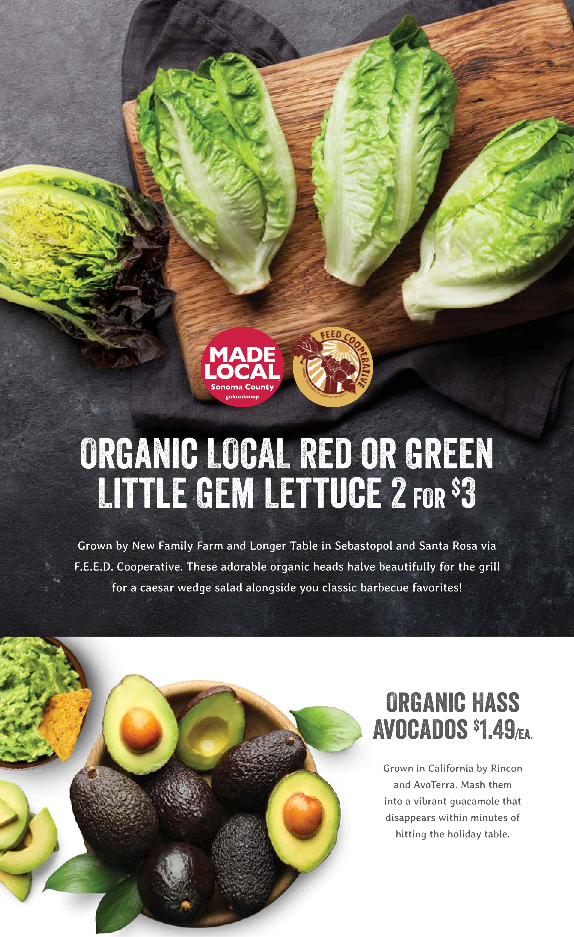 Flyer page 13