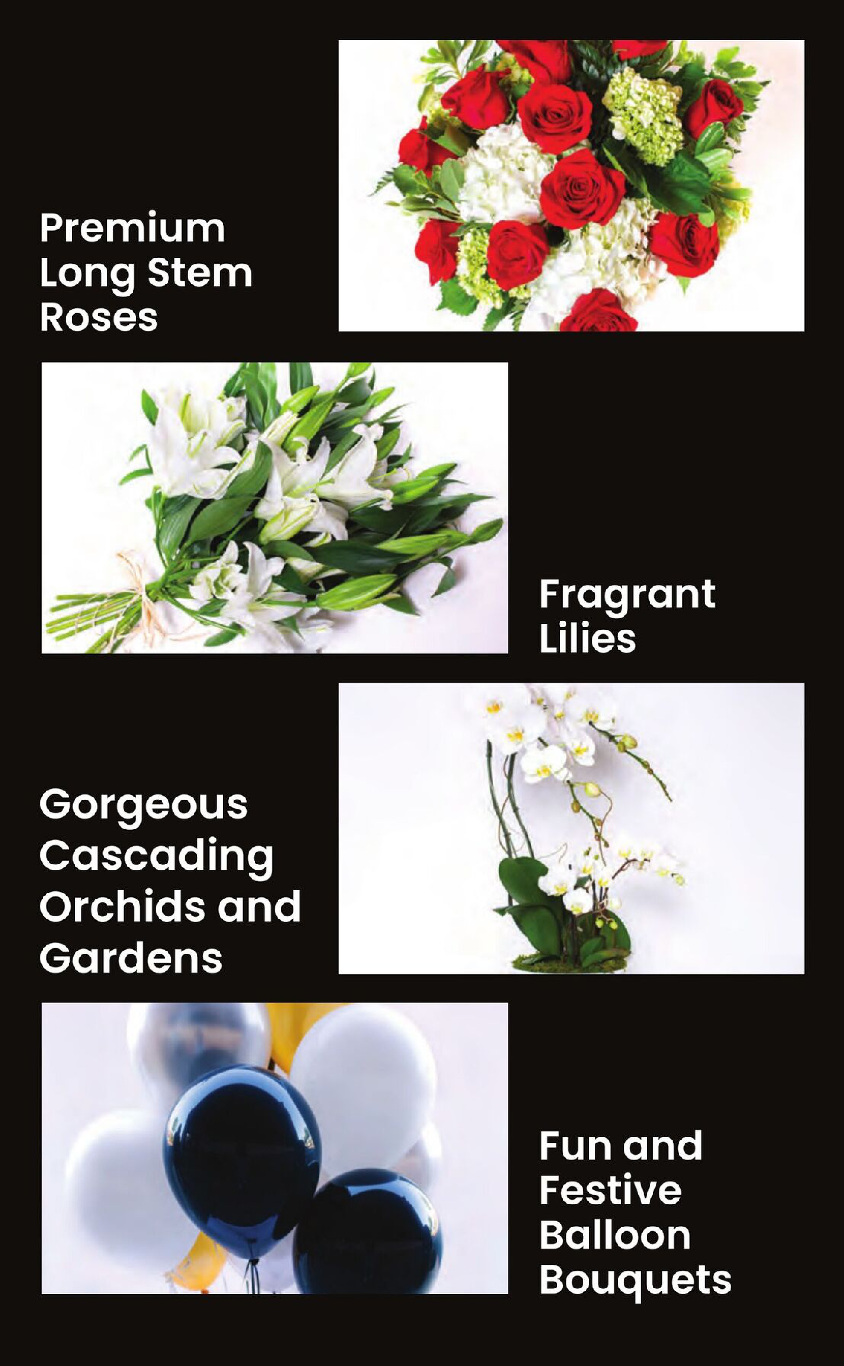 Flyer page 26