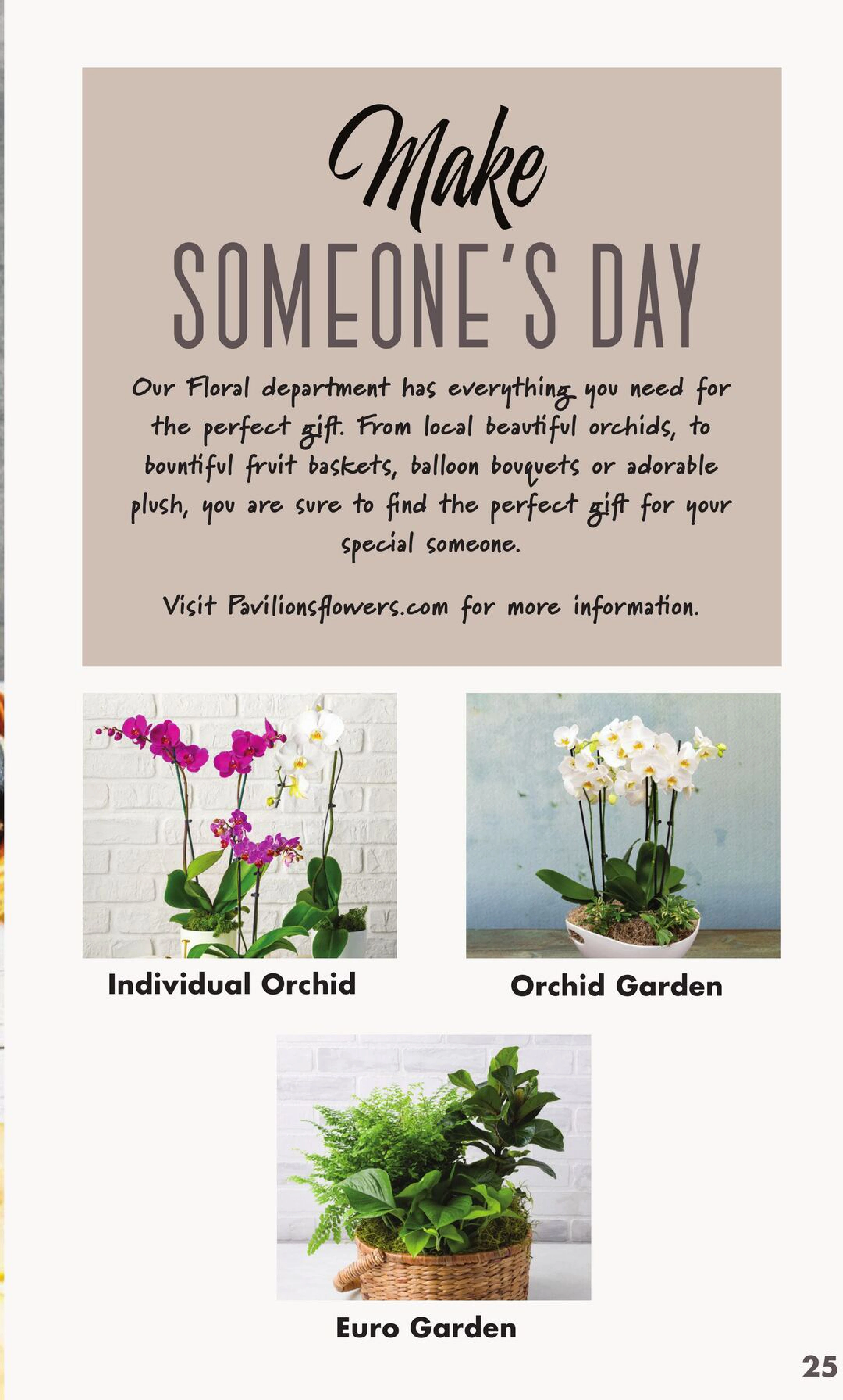 Flyer page 25