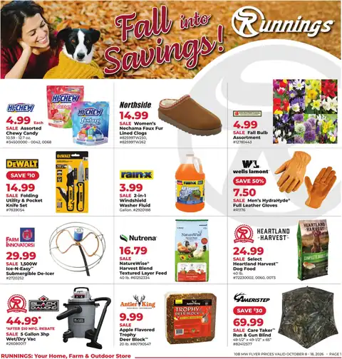 Fall Into Savings