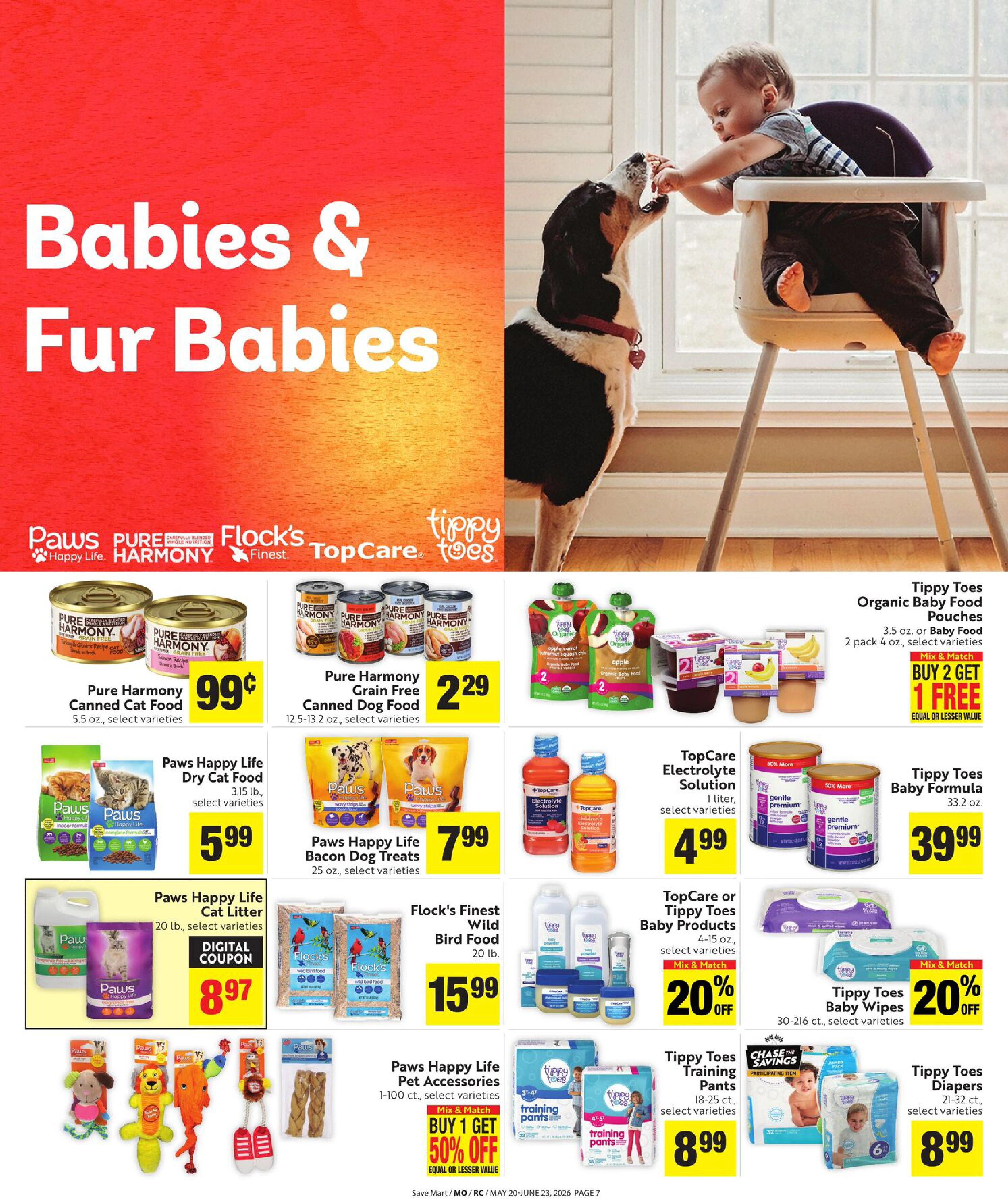 Flyer page 7