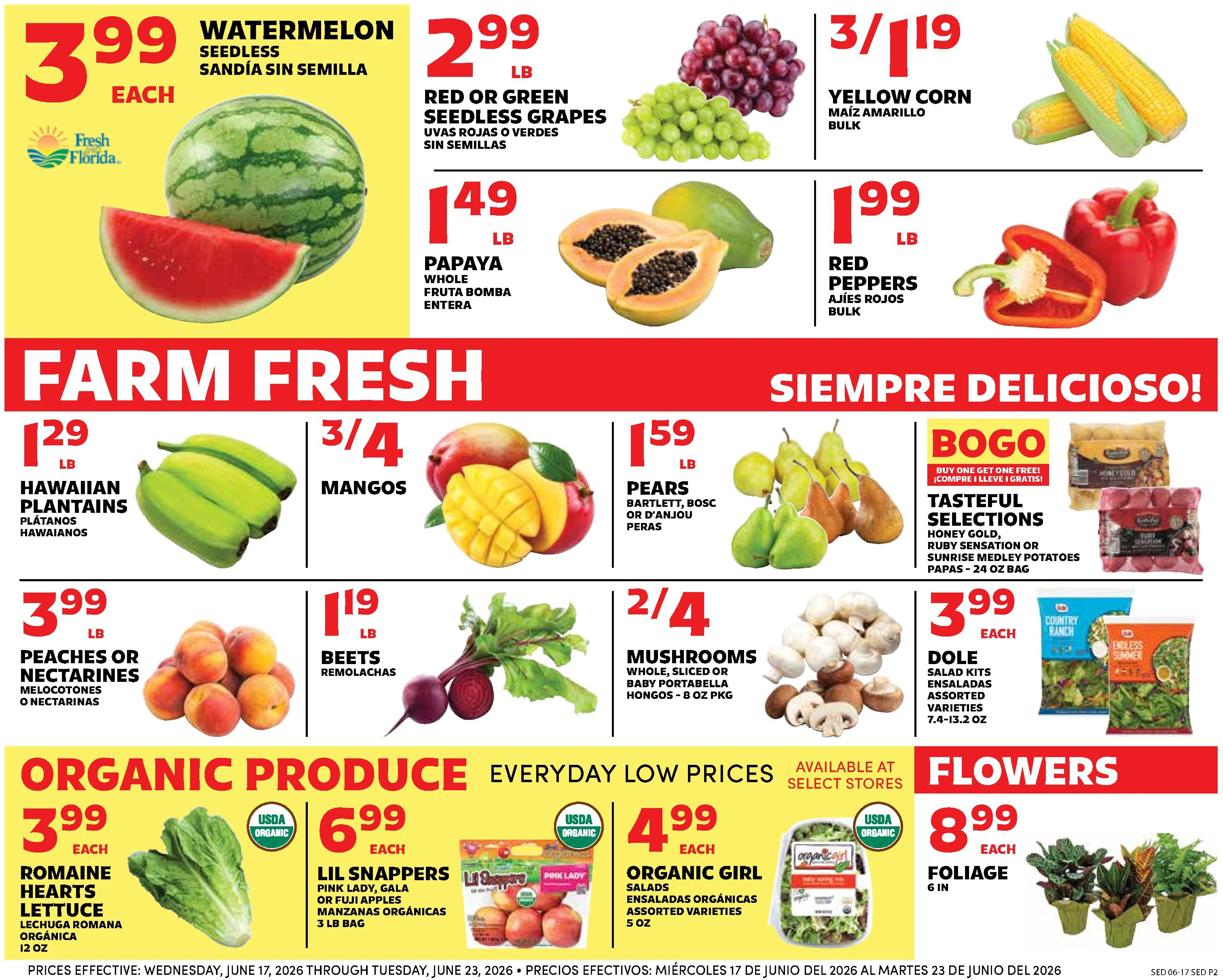 Flyer page 2