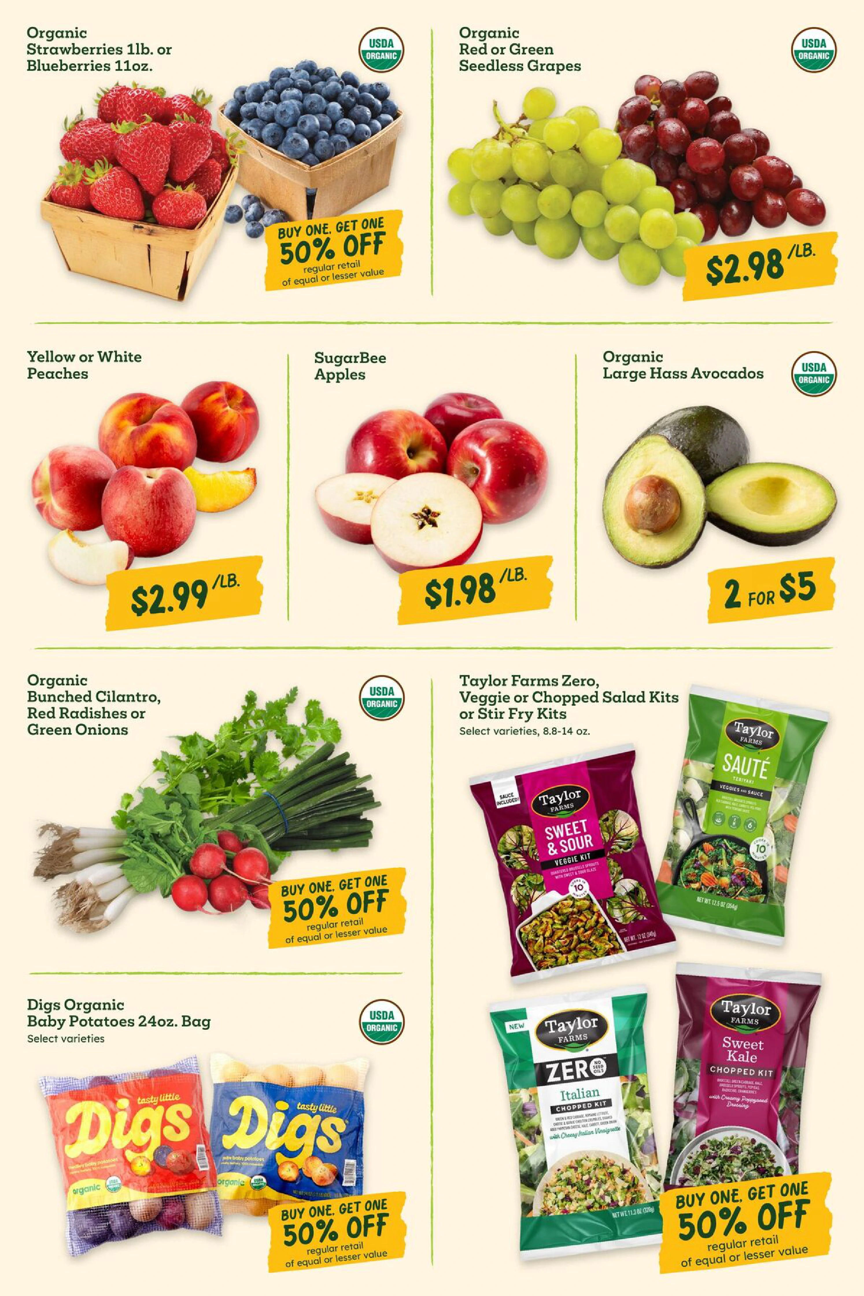 Flyer page 6
