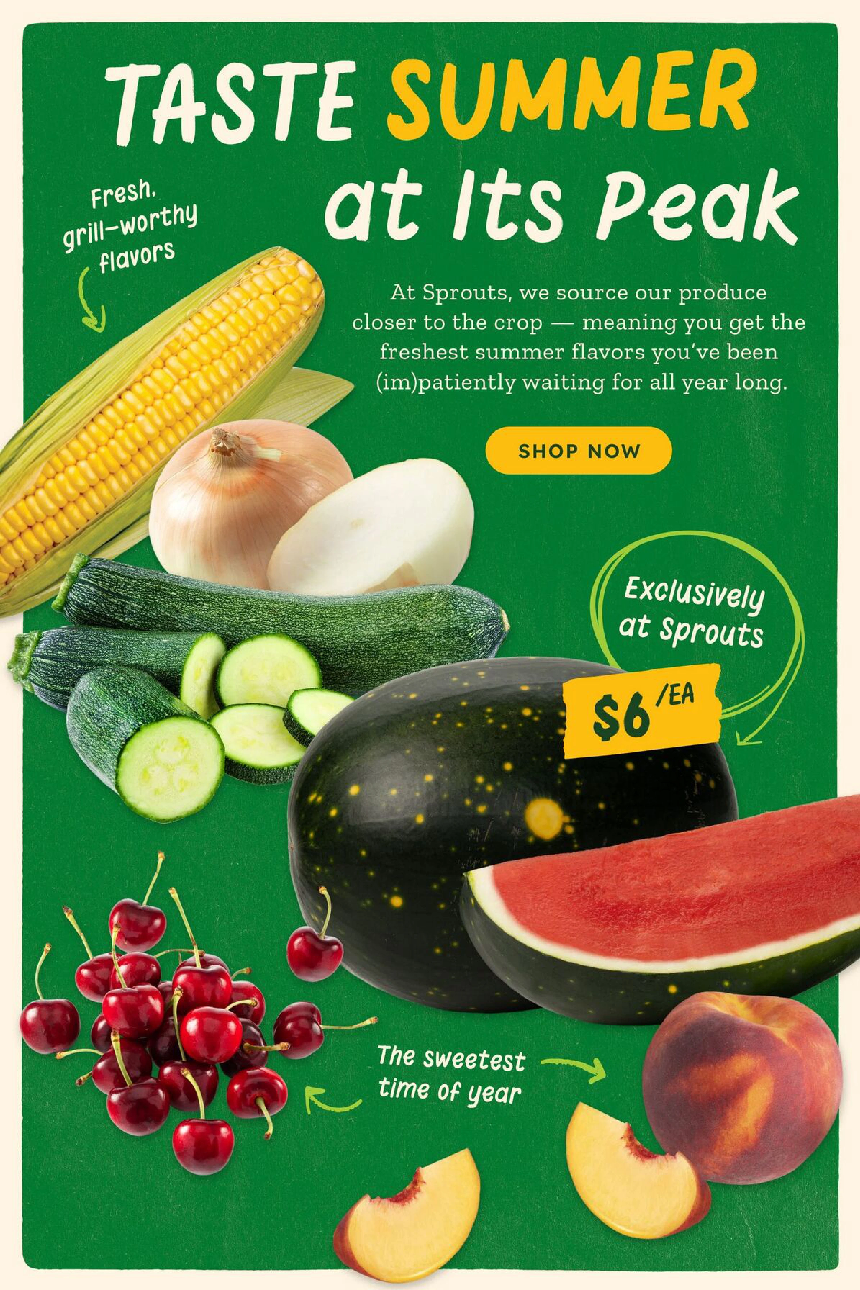 Flyer page 7