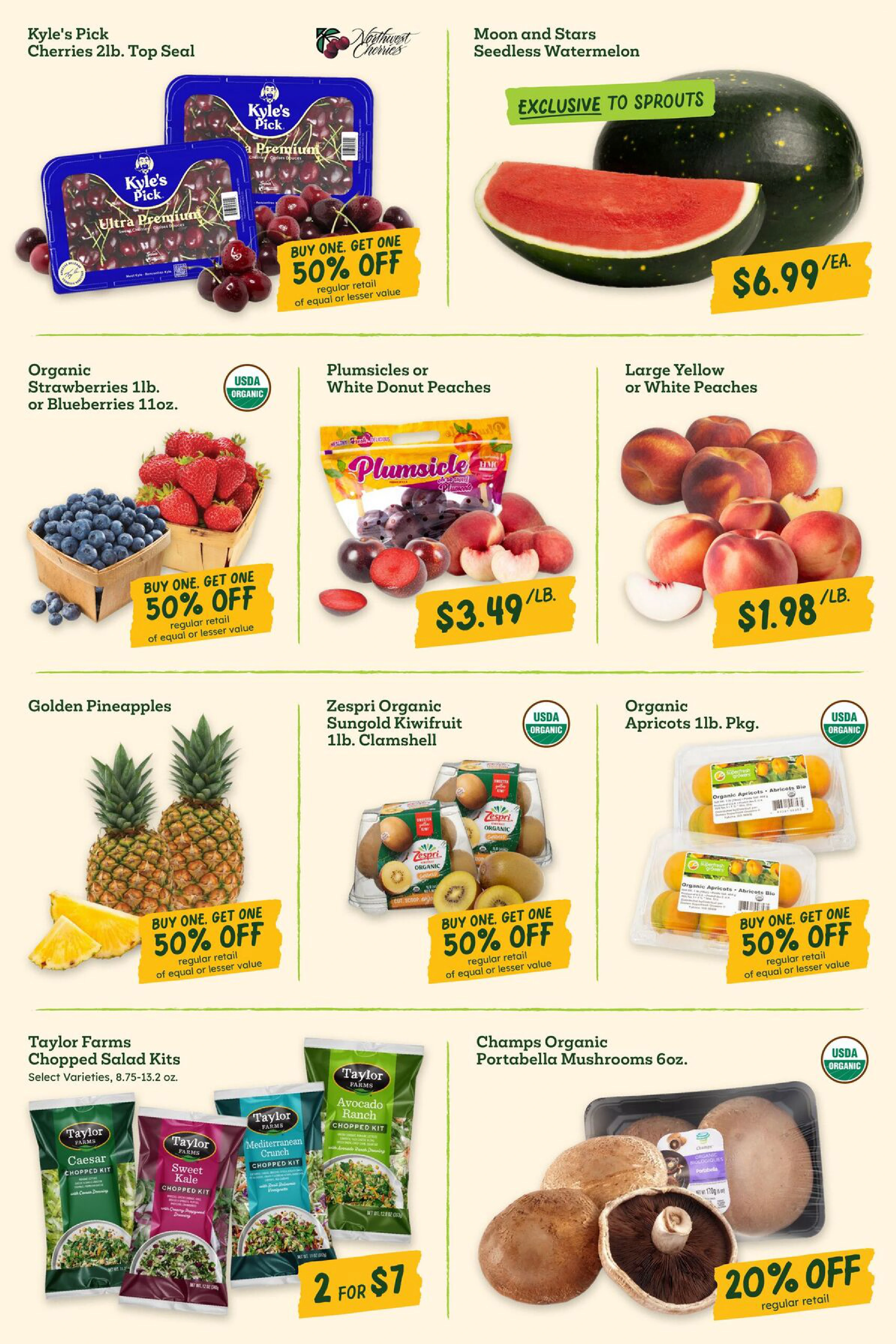Flyer page 3
