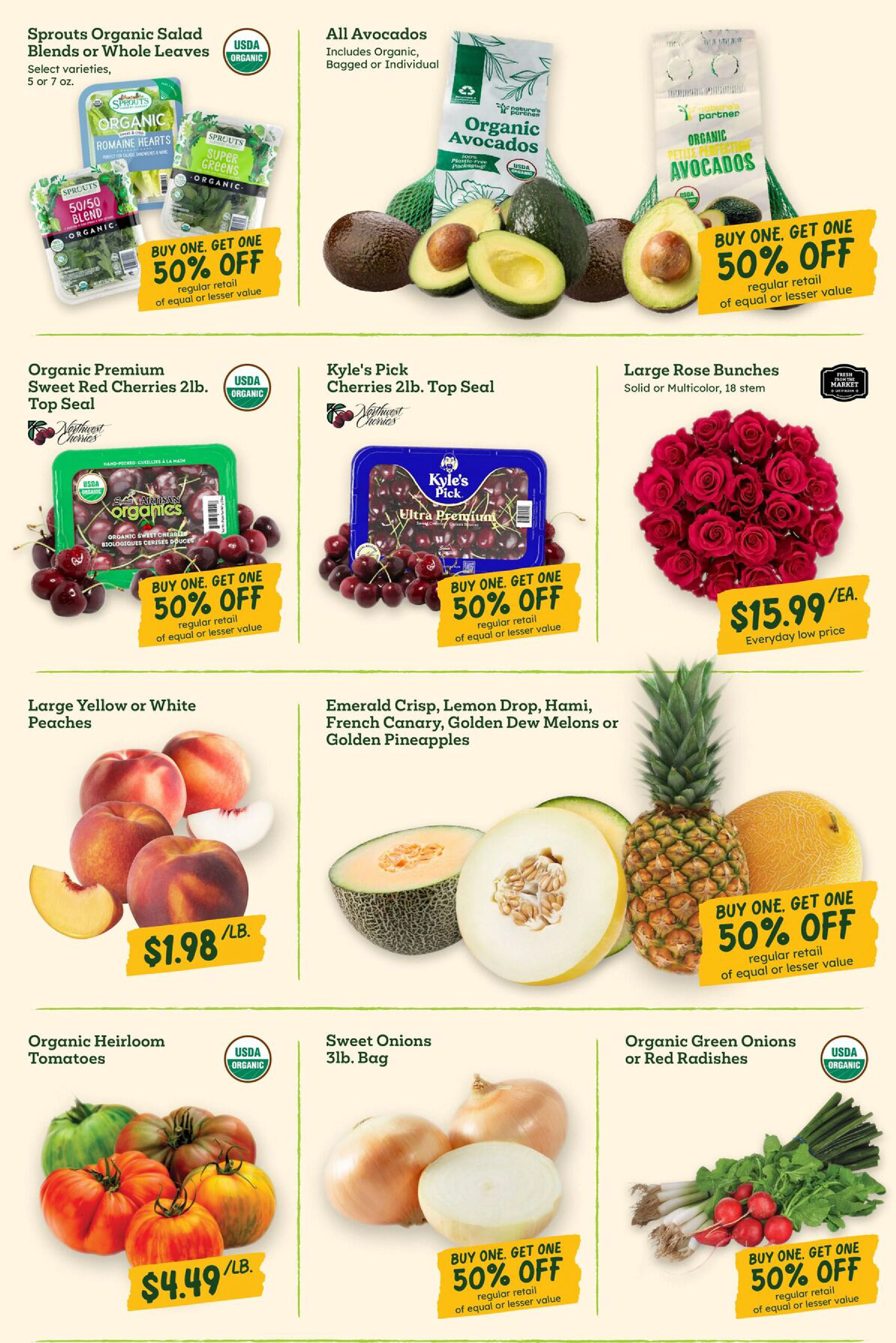Flyer page 3