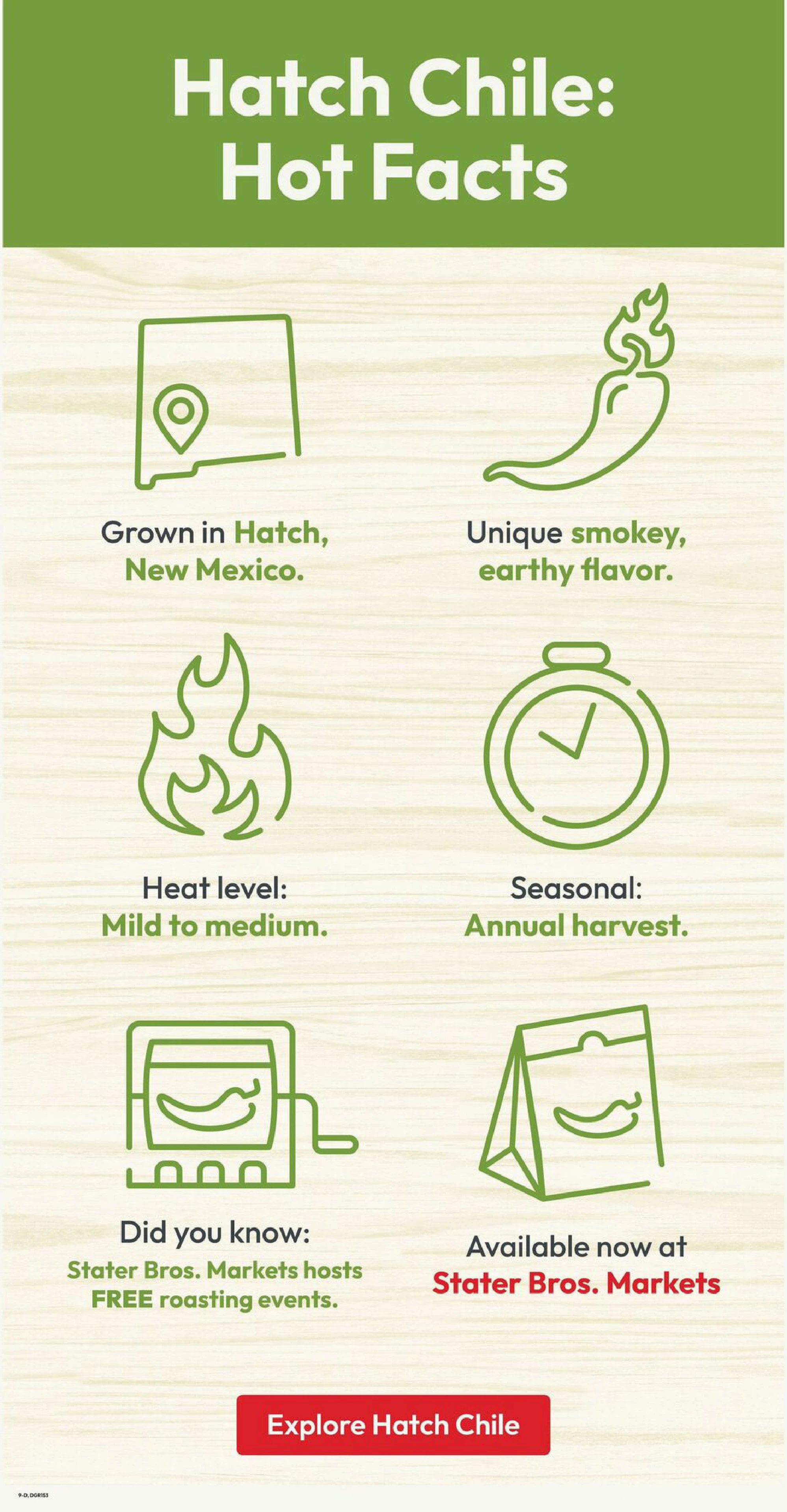 Flyer page 9