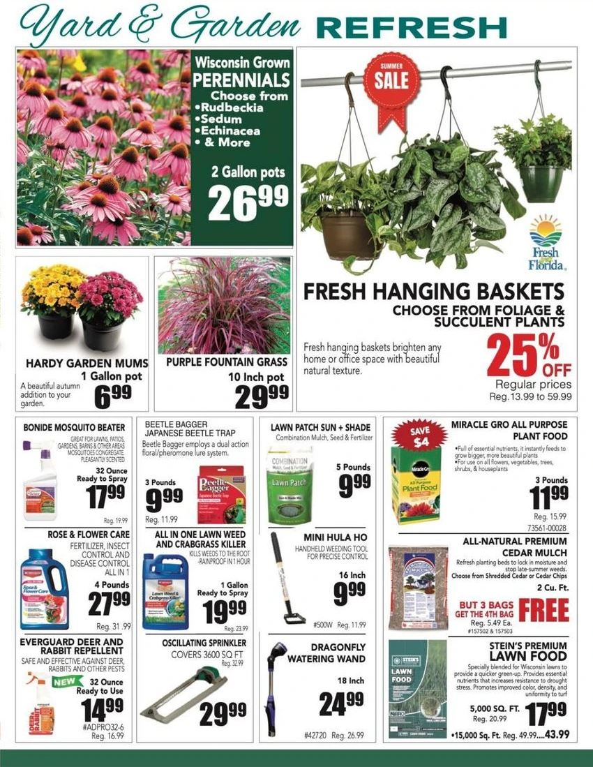 Flyer page 2