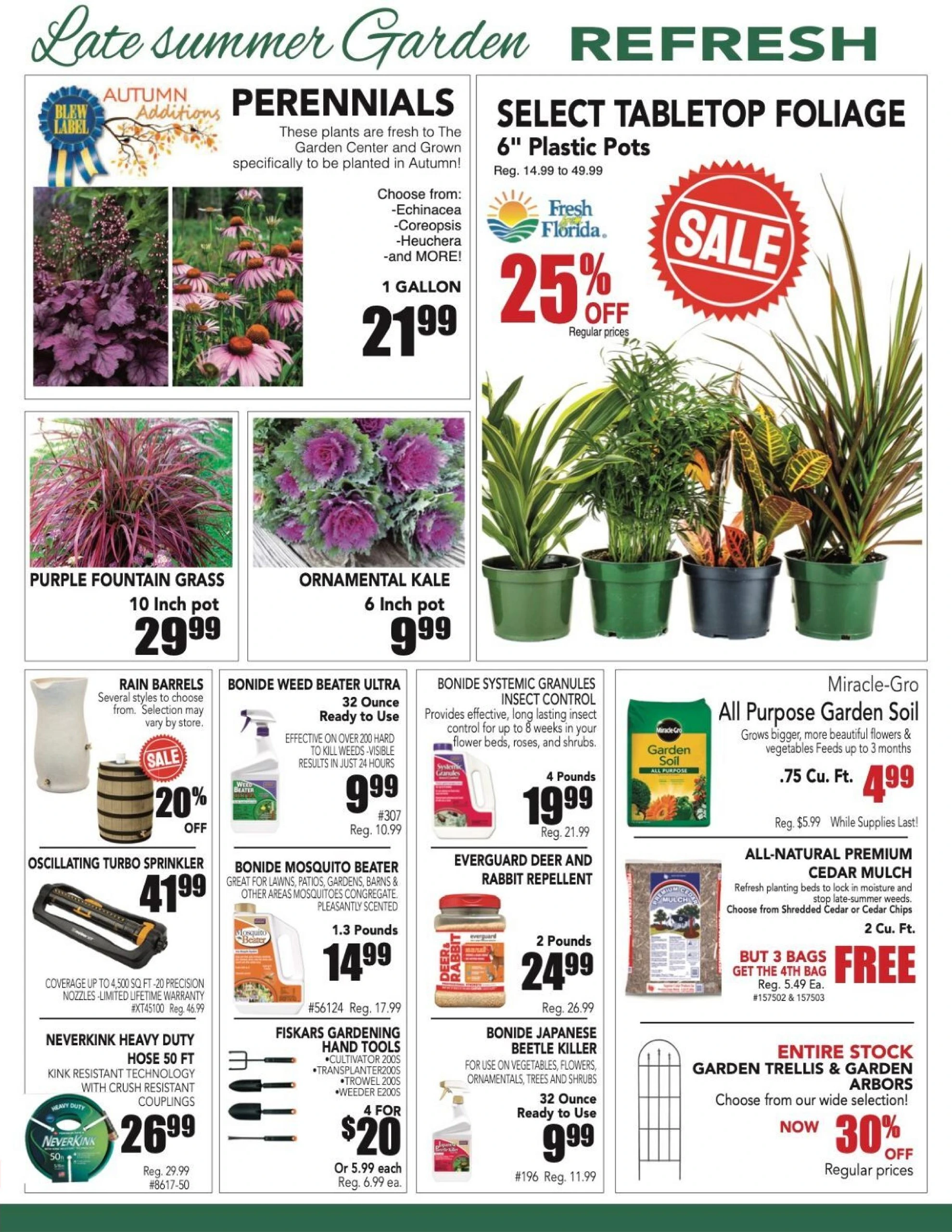 Flyer page 2