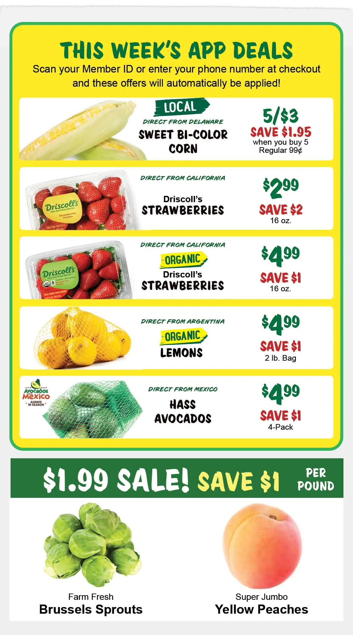 Flyer page 2