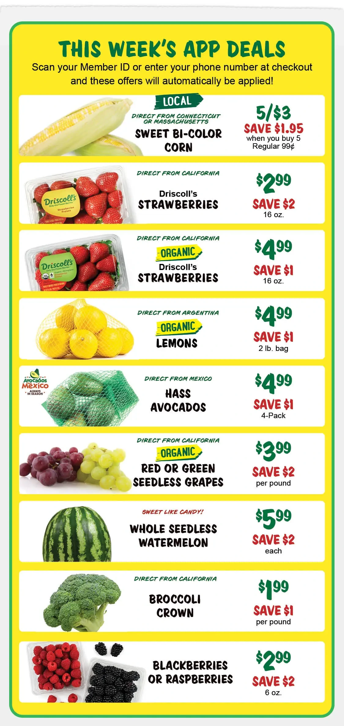 Flyer page 4