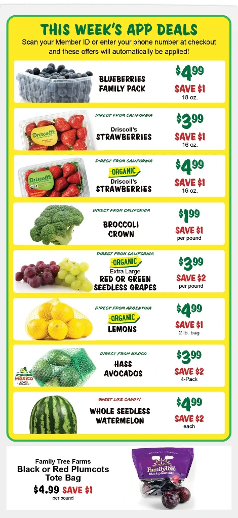 Flyer page 3