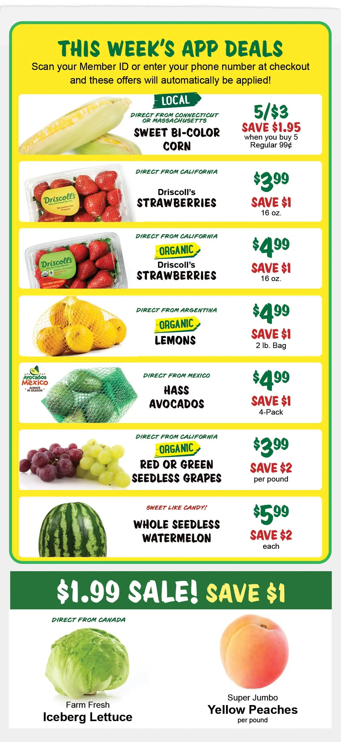 Flyer page 4