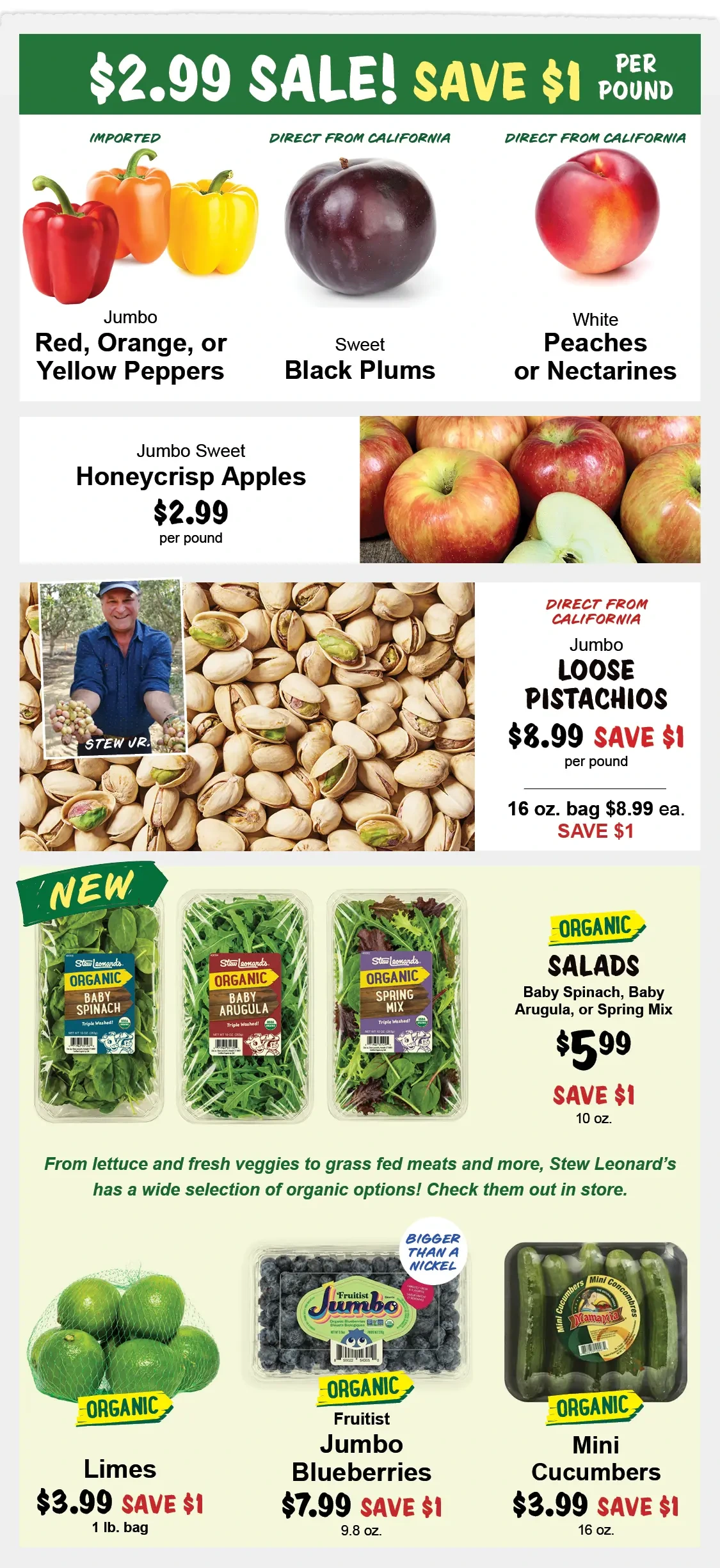 Flyer page 5