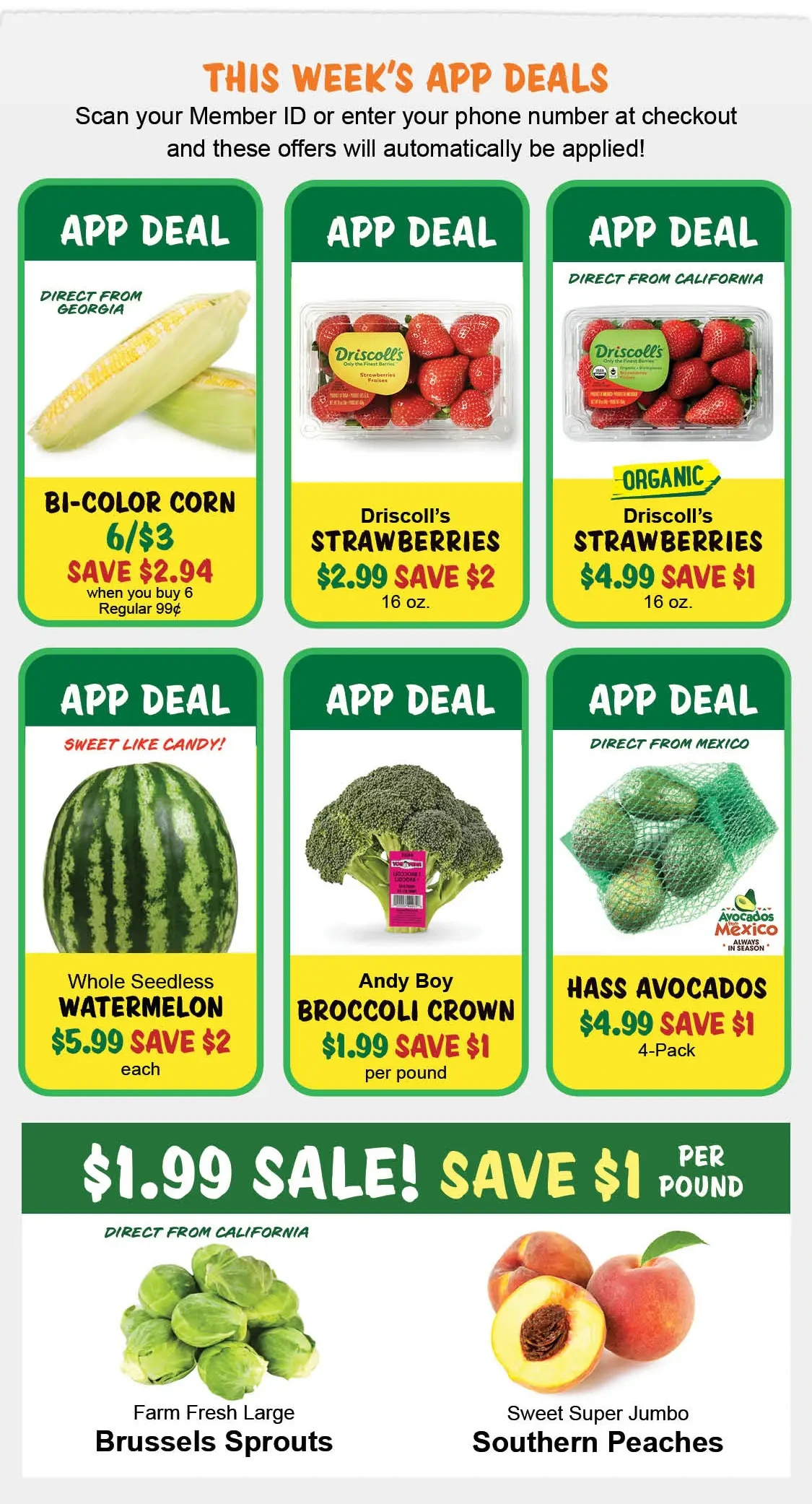 Flyer page 2