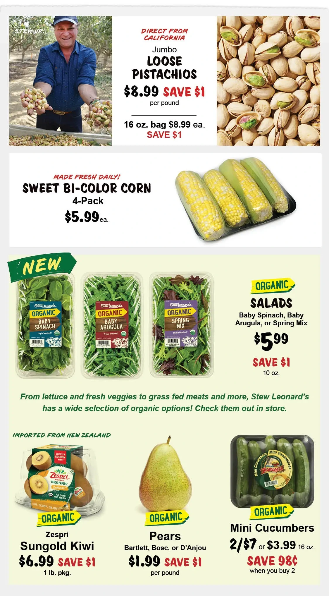 Flyer page 4