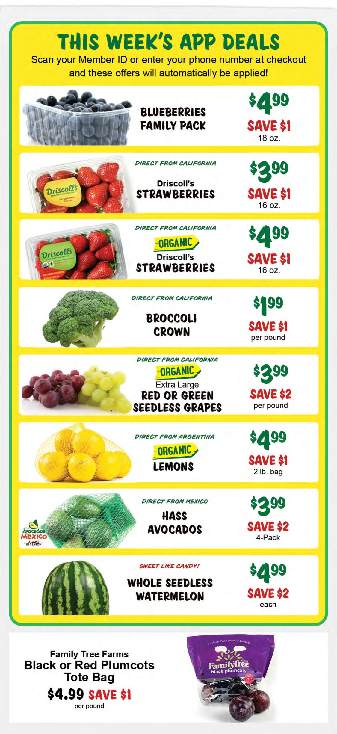 Flyer page 4