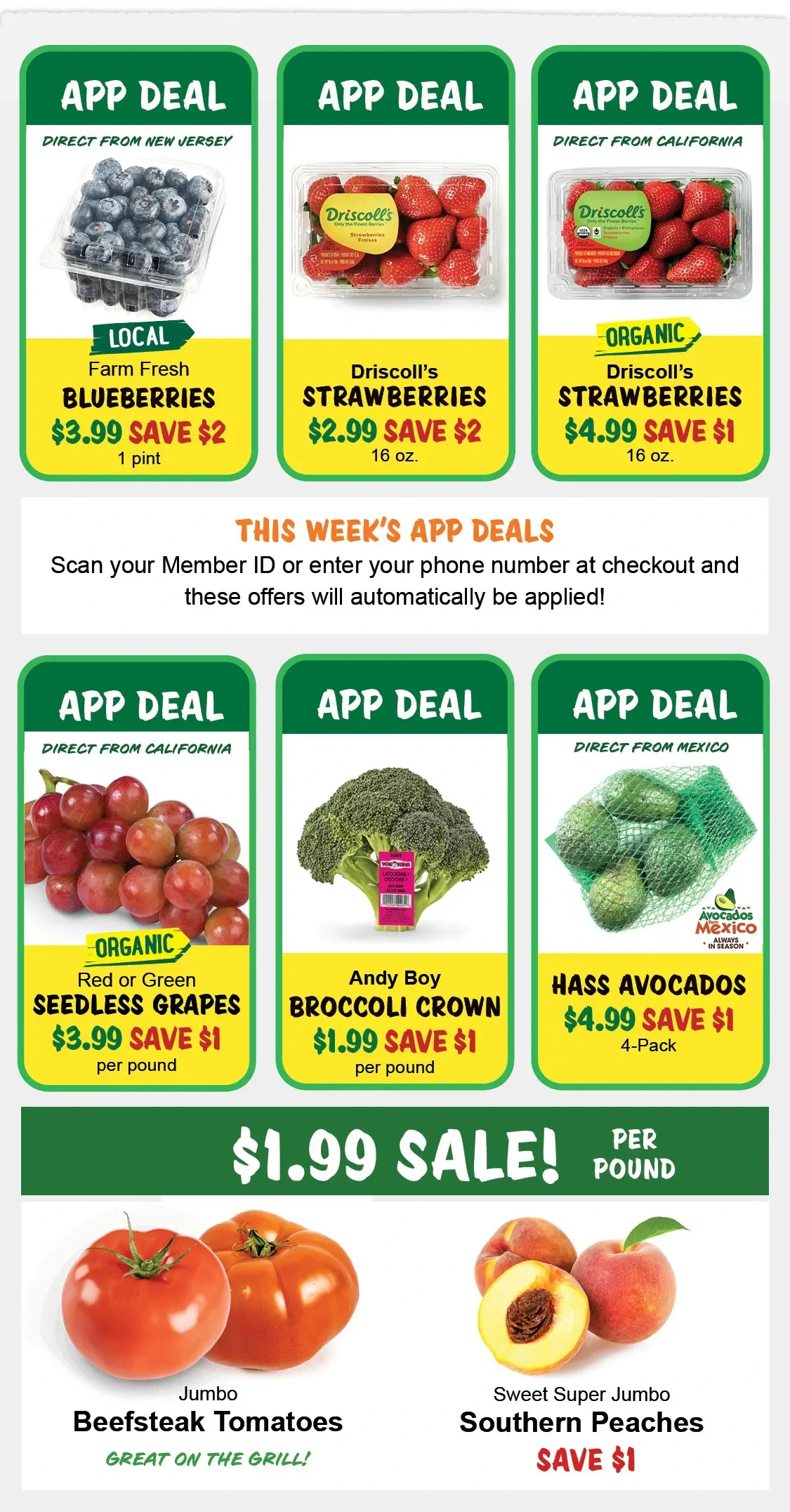 Flyer page 2