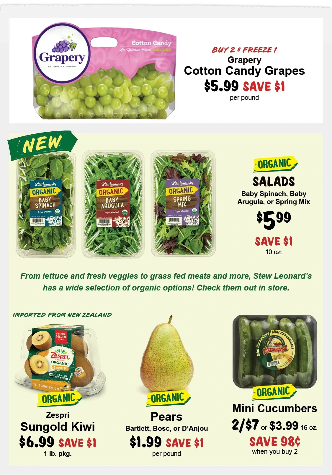 Flyer page 4