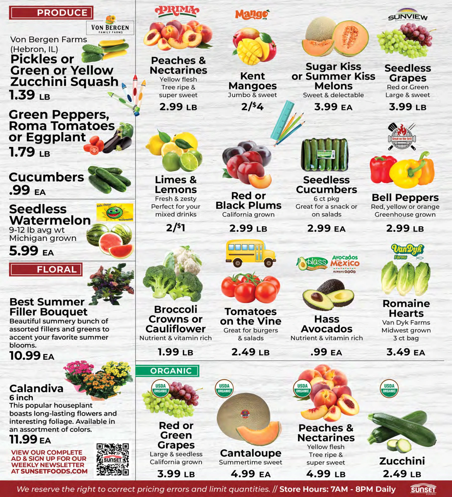Flyer page 8