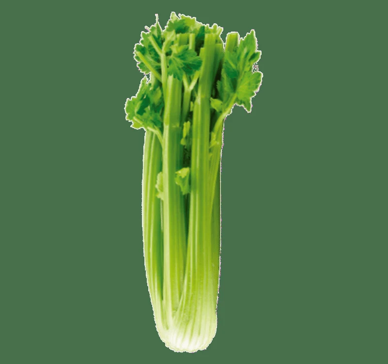 Superking Markets Weekly Ad - Page 5