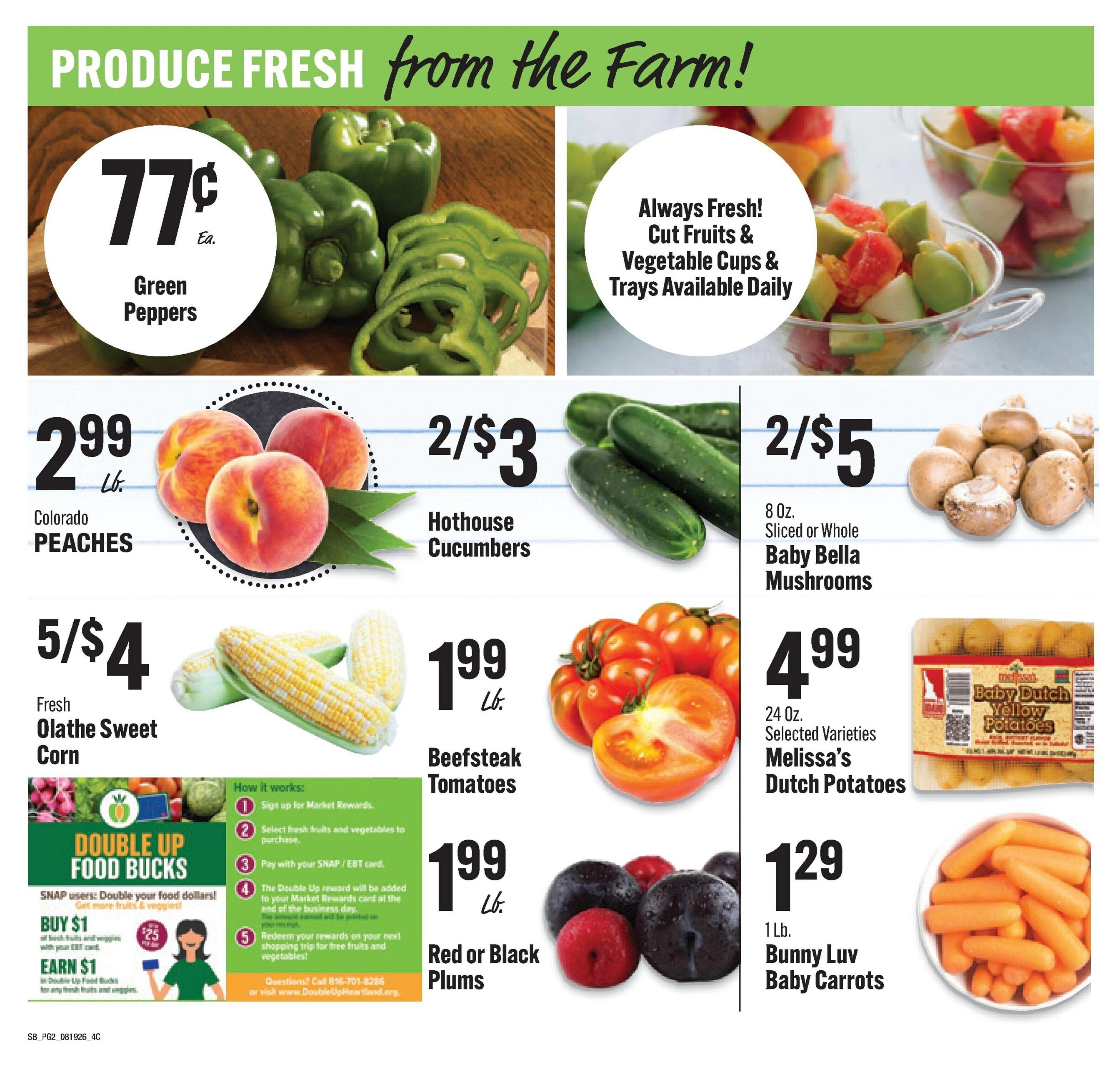 Flyer page 2