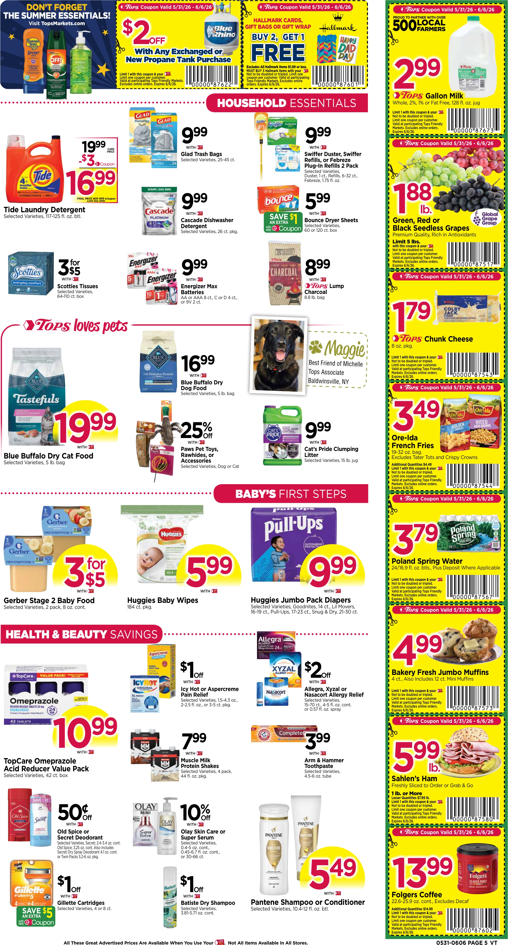 Flyer page 7
