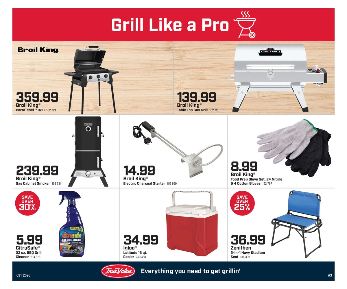 True Value Hardware Sale 91 - Page 3