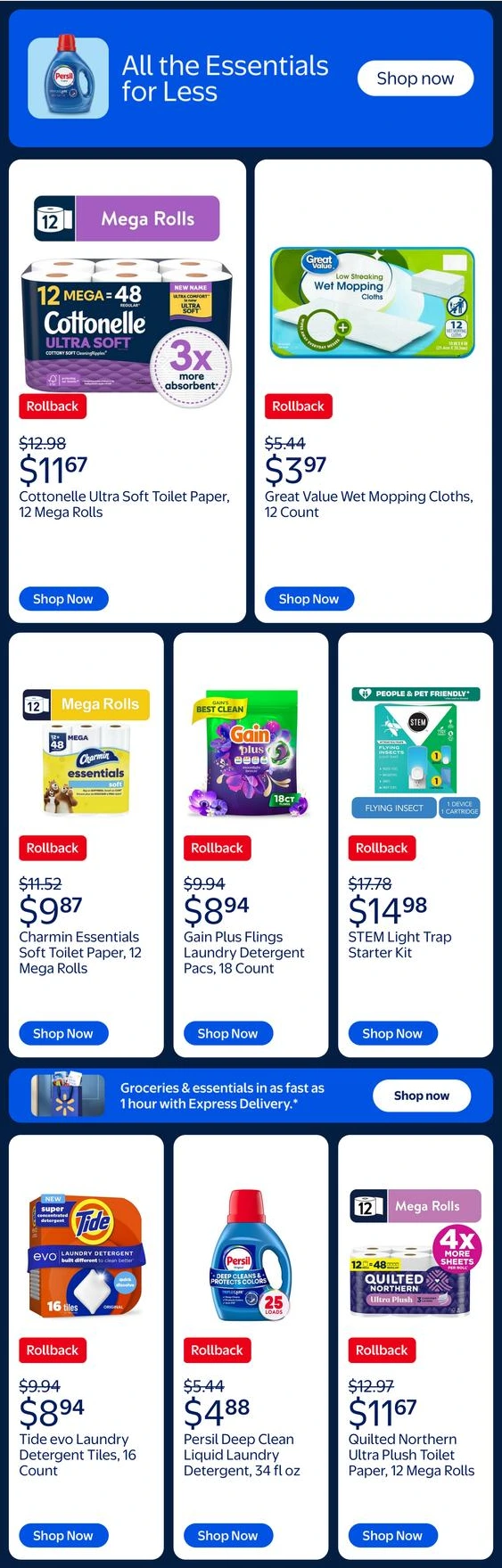 Flyer page 10