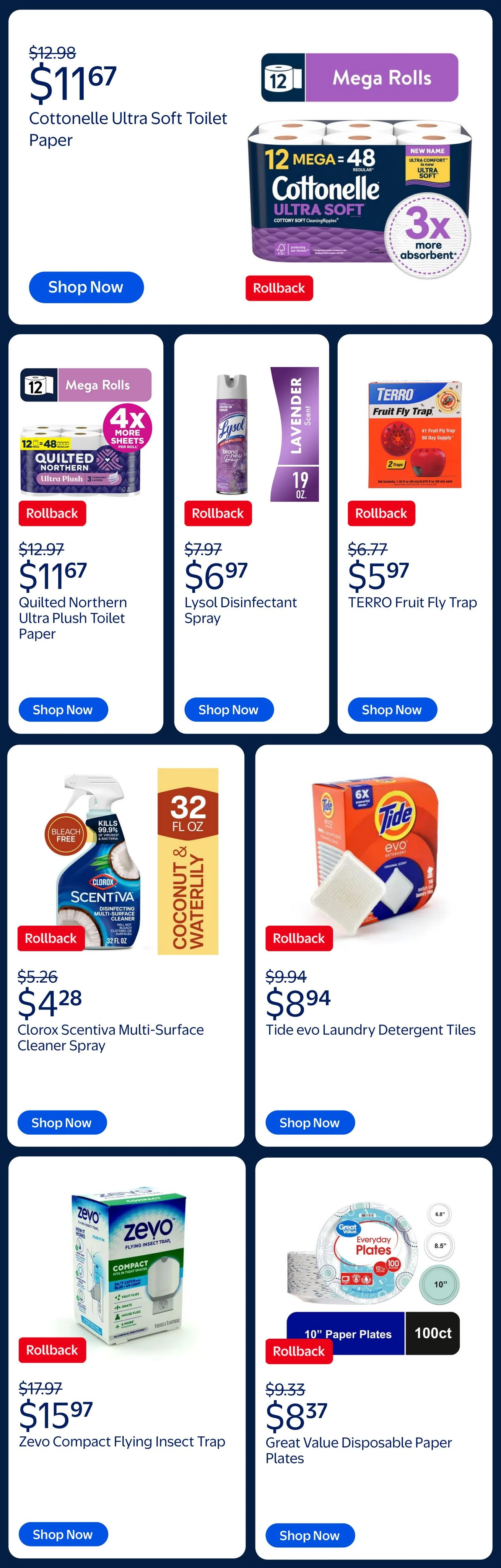 Flyer page 11