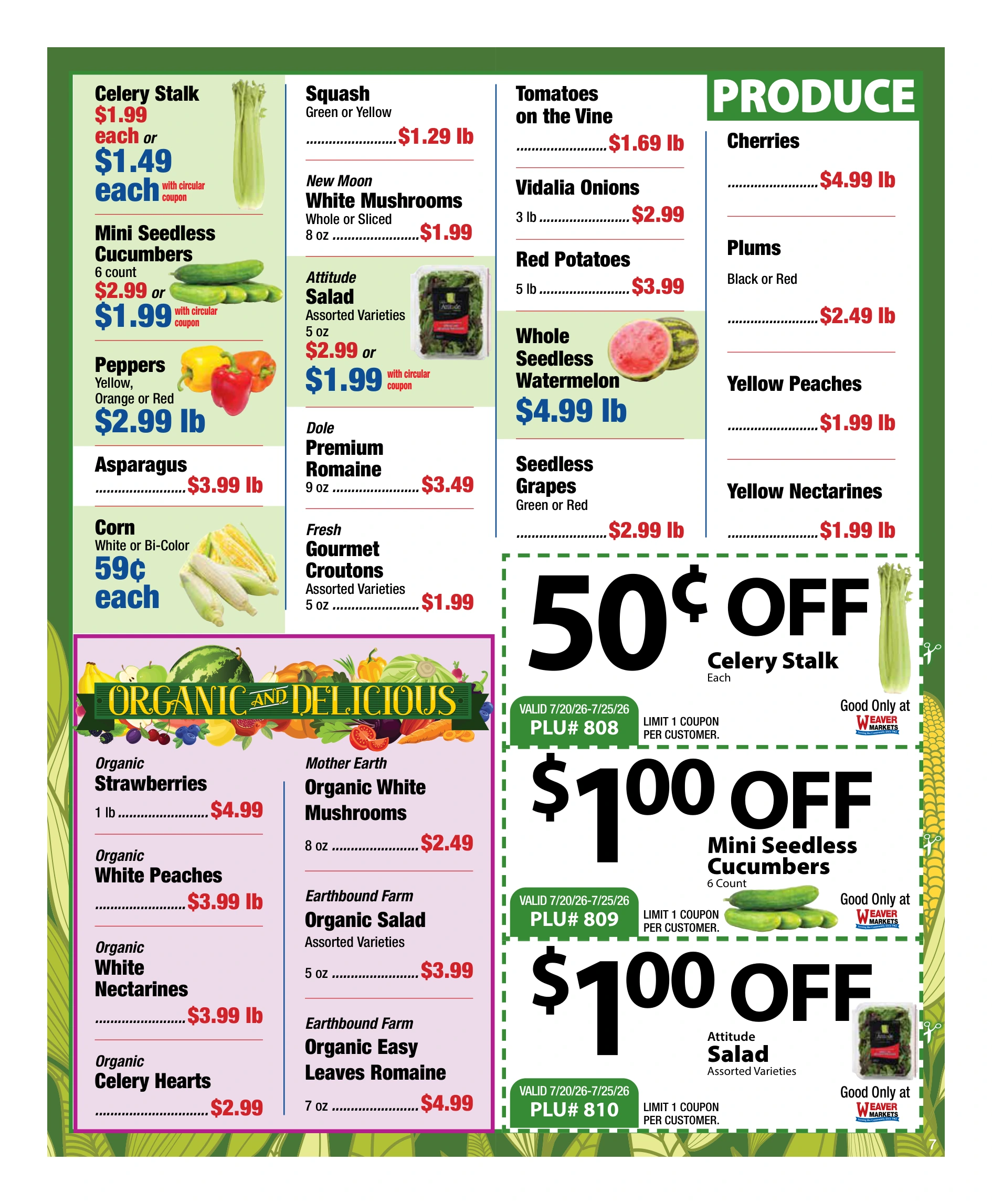 Flyer page 7
