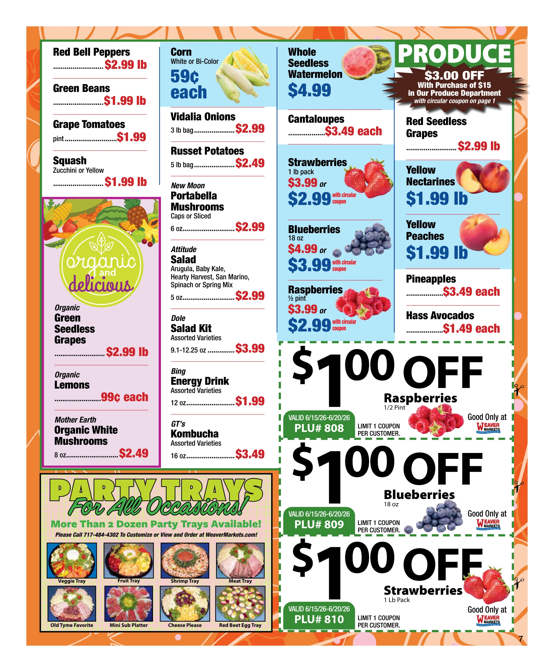 Flyer page 7